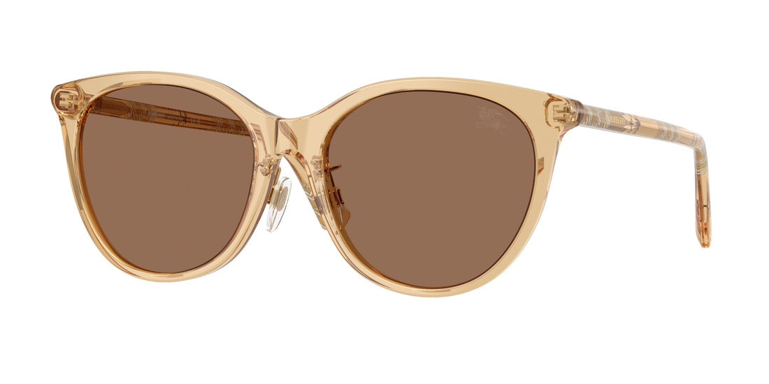 Solglasögon burberry be4464d 416773 beige pantos femenino storlek 56mm - Huvudvy