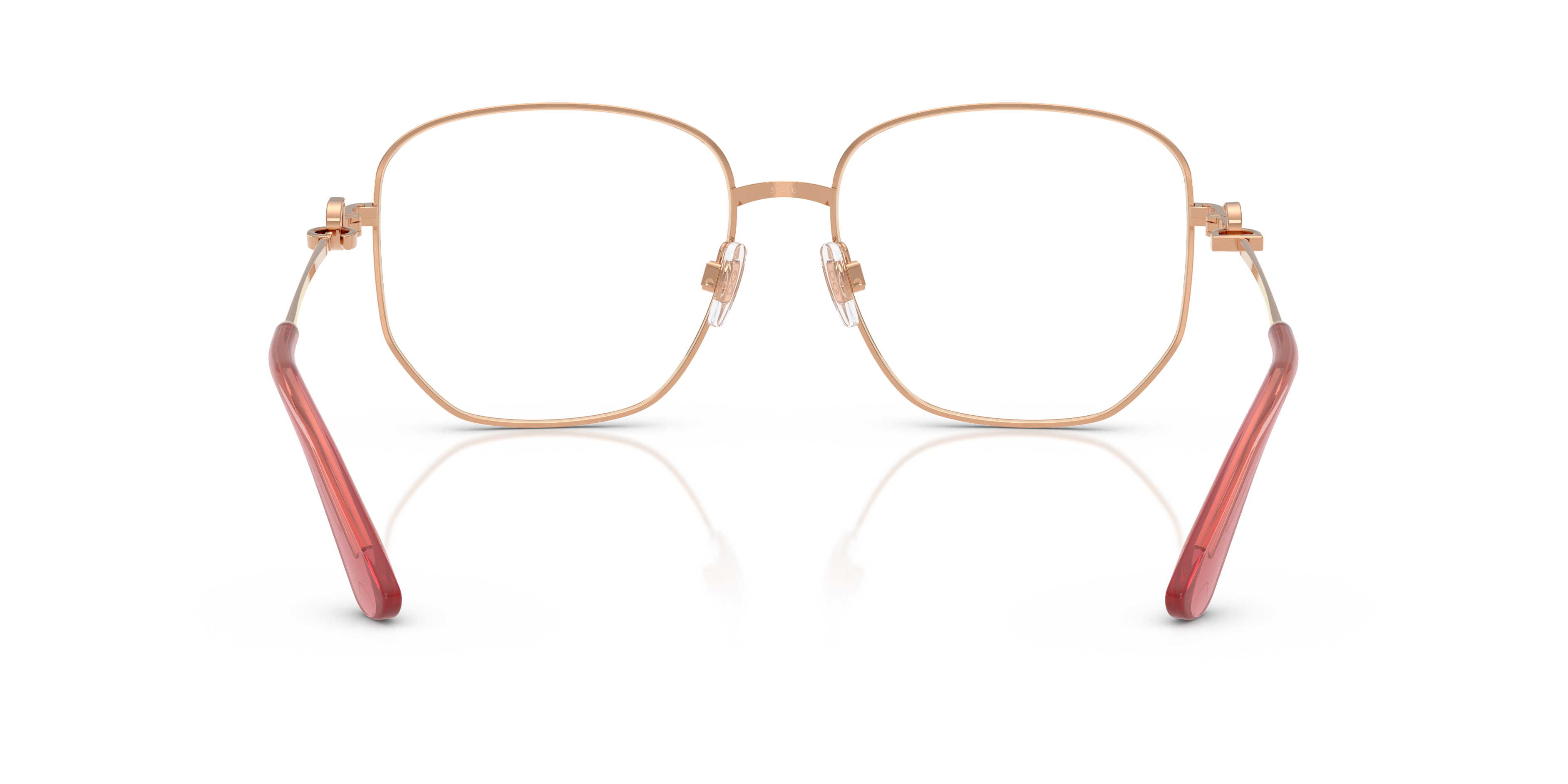 DOLCE & GABBANA DG1356 1298 55