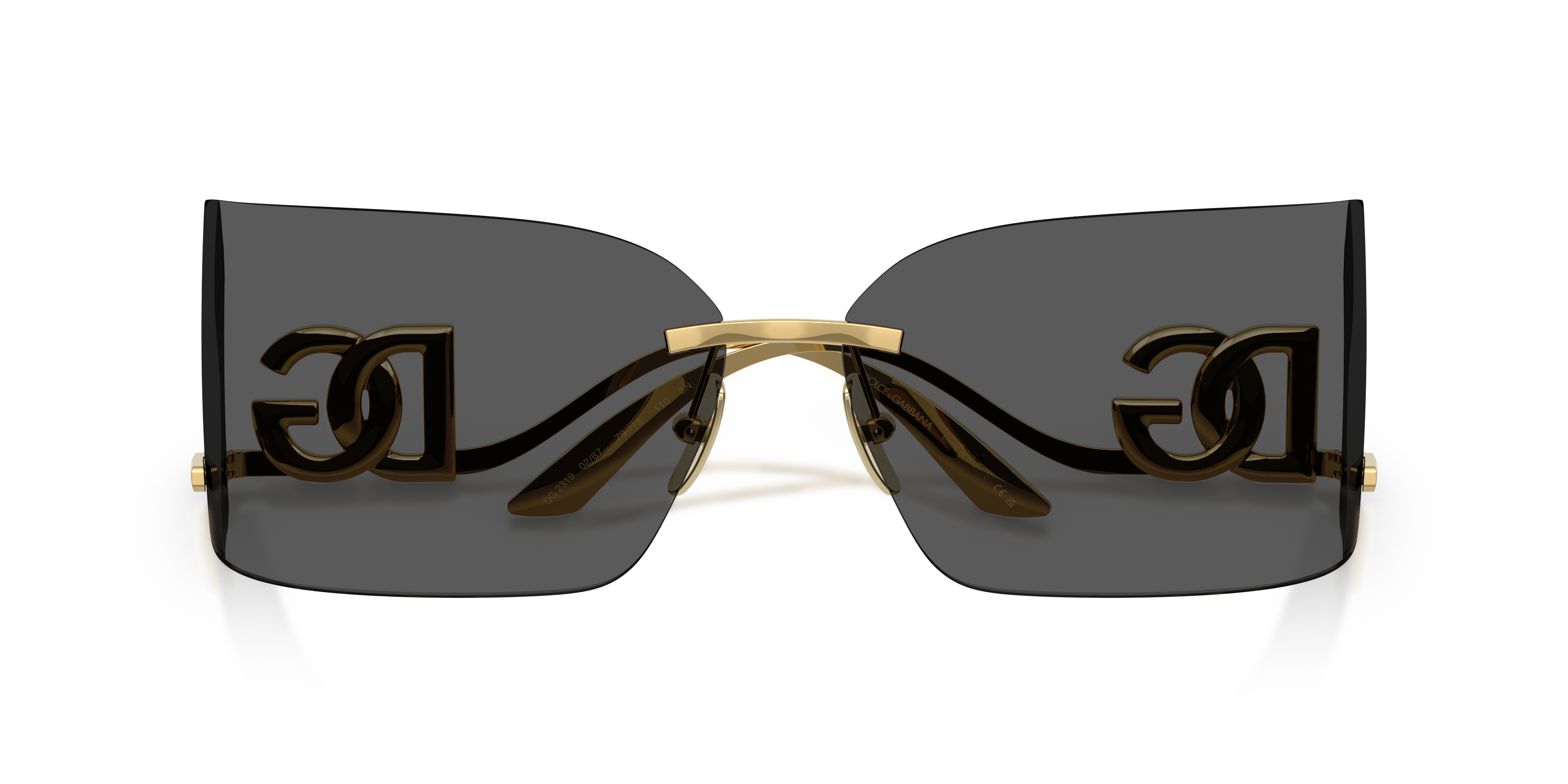 DOLCE & GABBANA DG2319 02/87 79