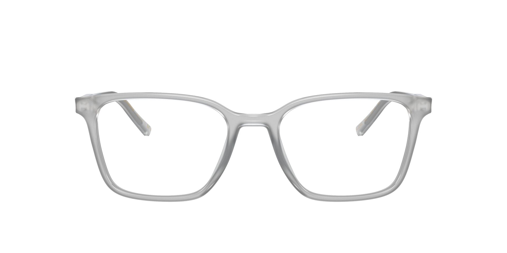 DOLCE & GABBANA DG3365 3421 54