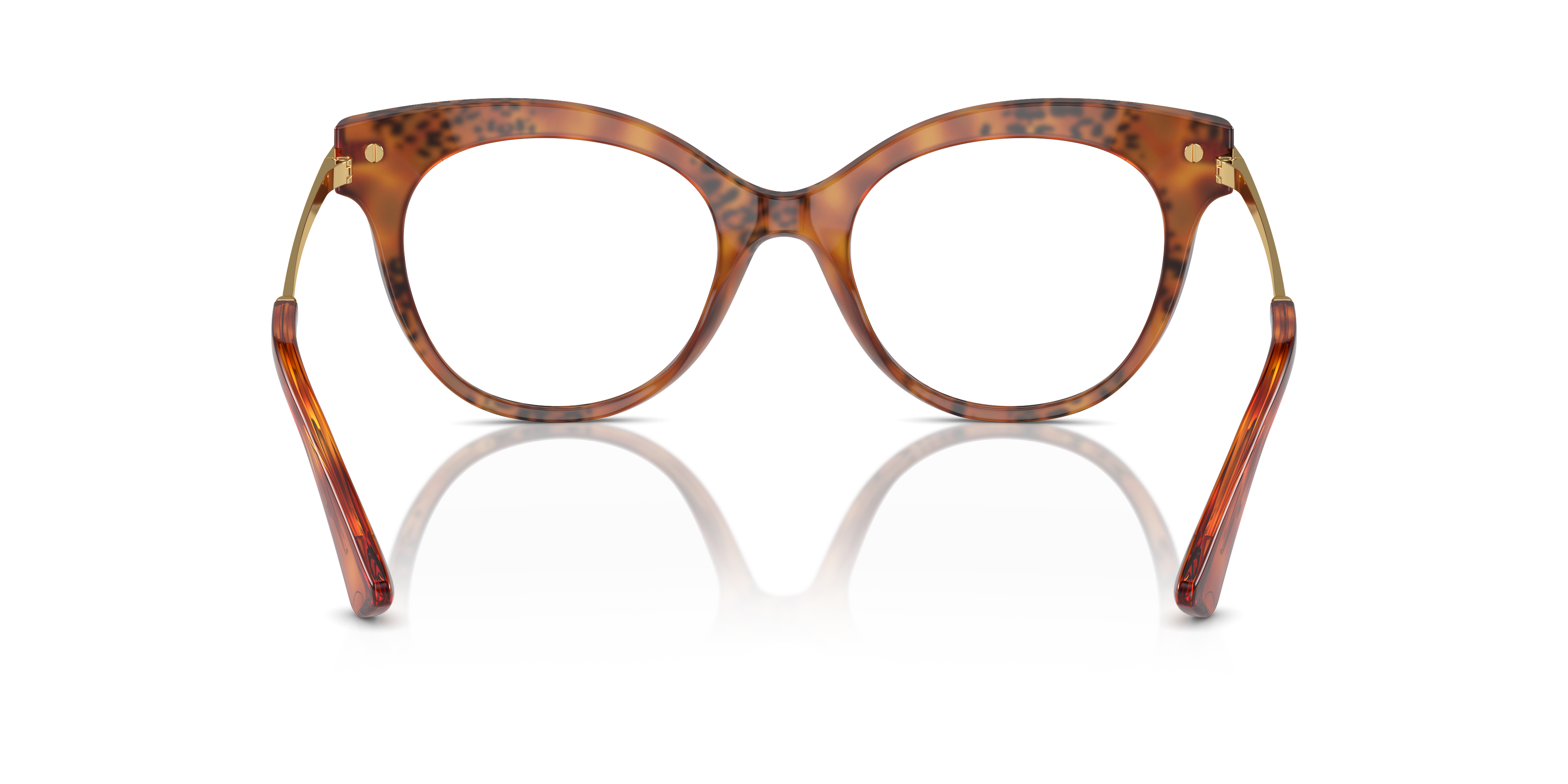 DOLCE & GABBANA DG3392 3380 52