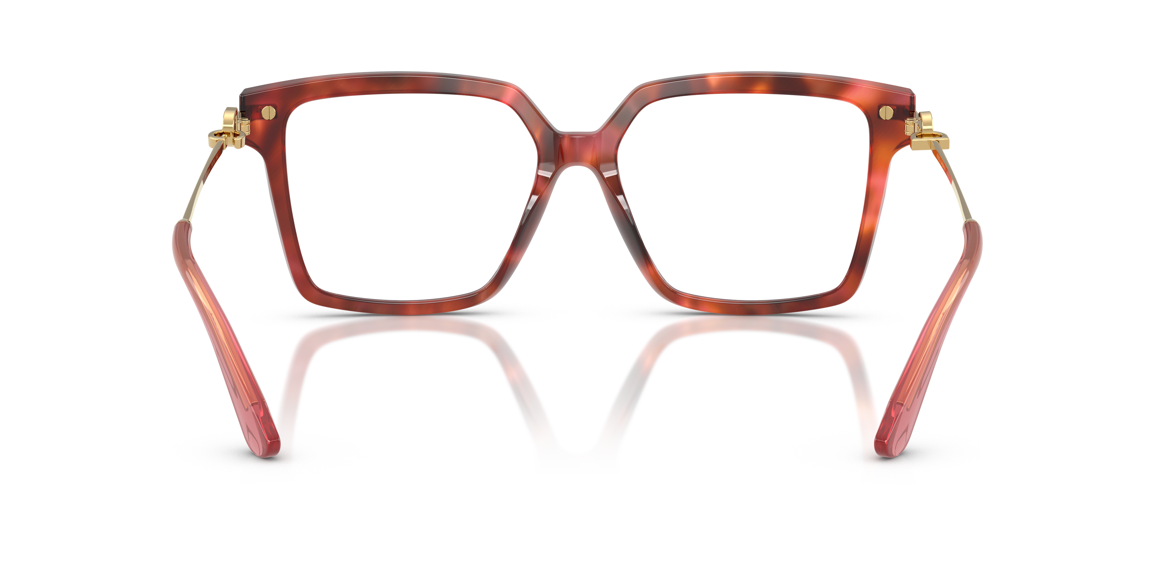 DOLCE & GABBANA DG3397 3444 54