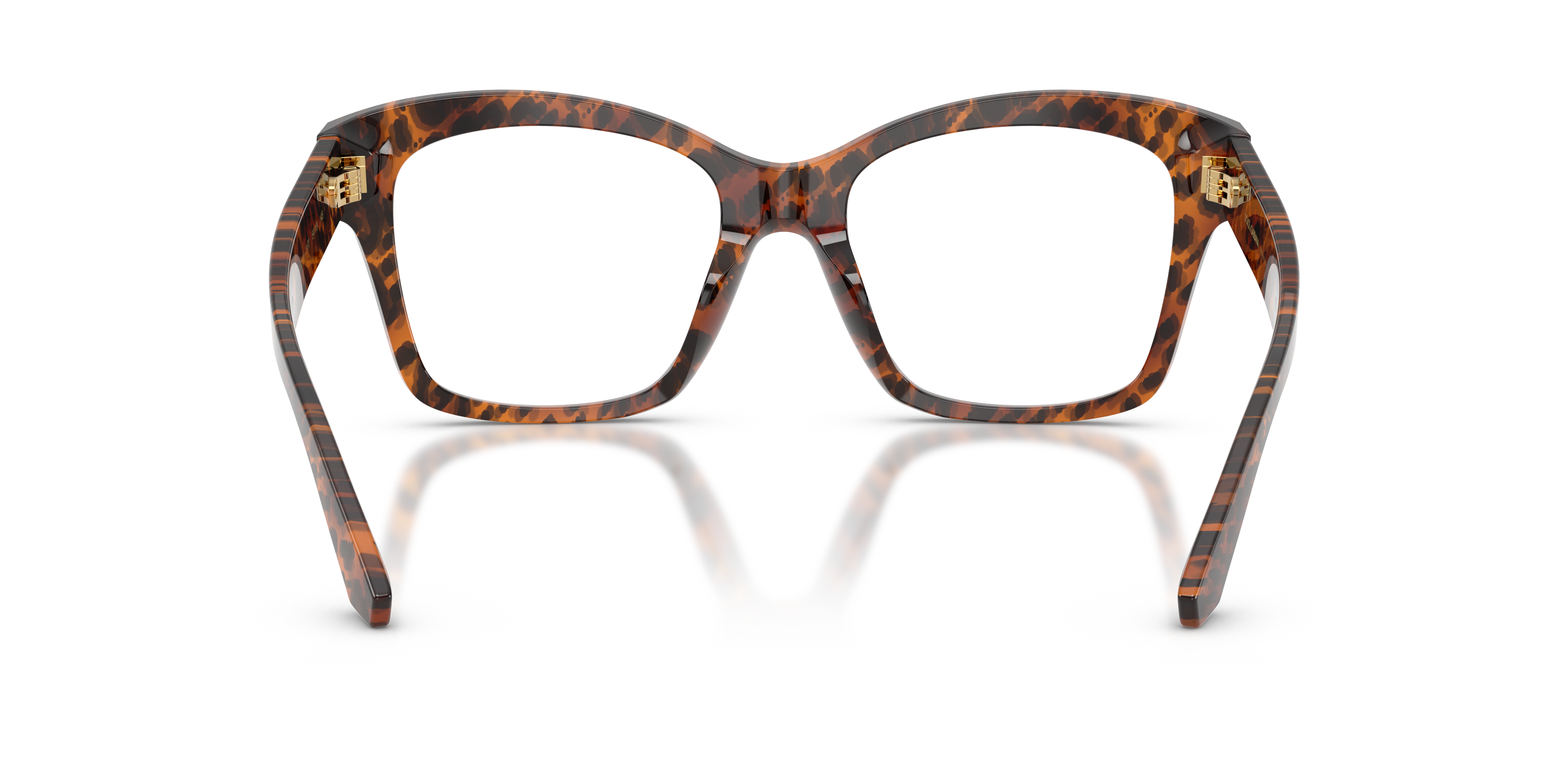 DOLCE & GABBANA DG3419 3470 54