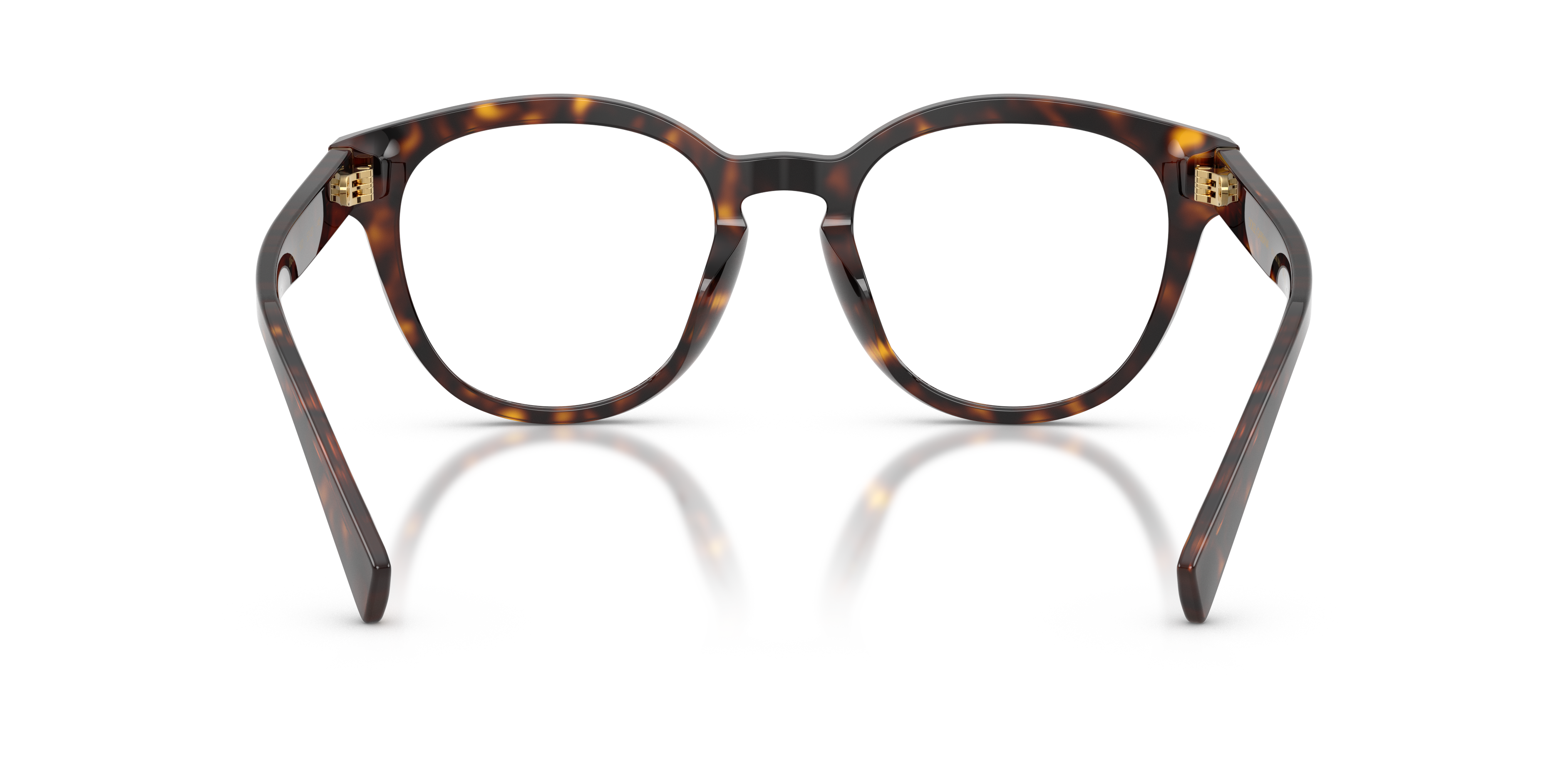 DOLCE & GABBANA DG3421 502 52