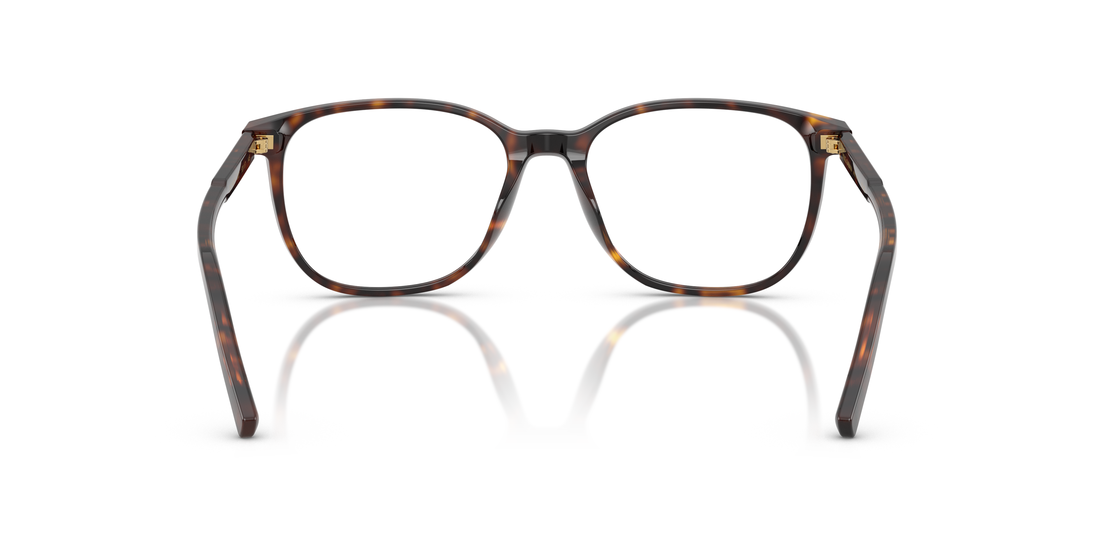 DOLCE & GABBANA DG3426 502 51