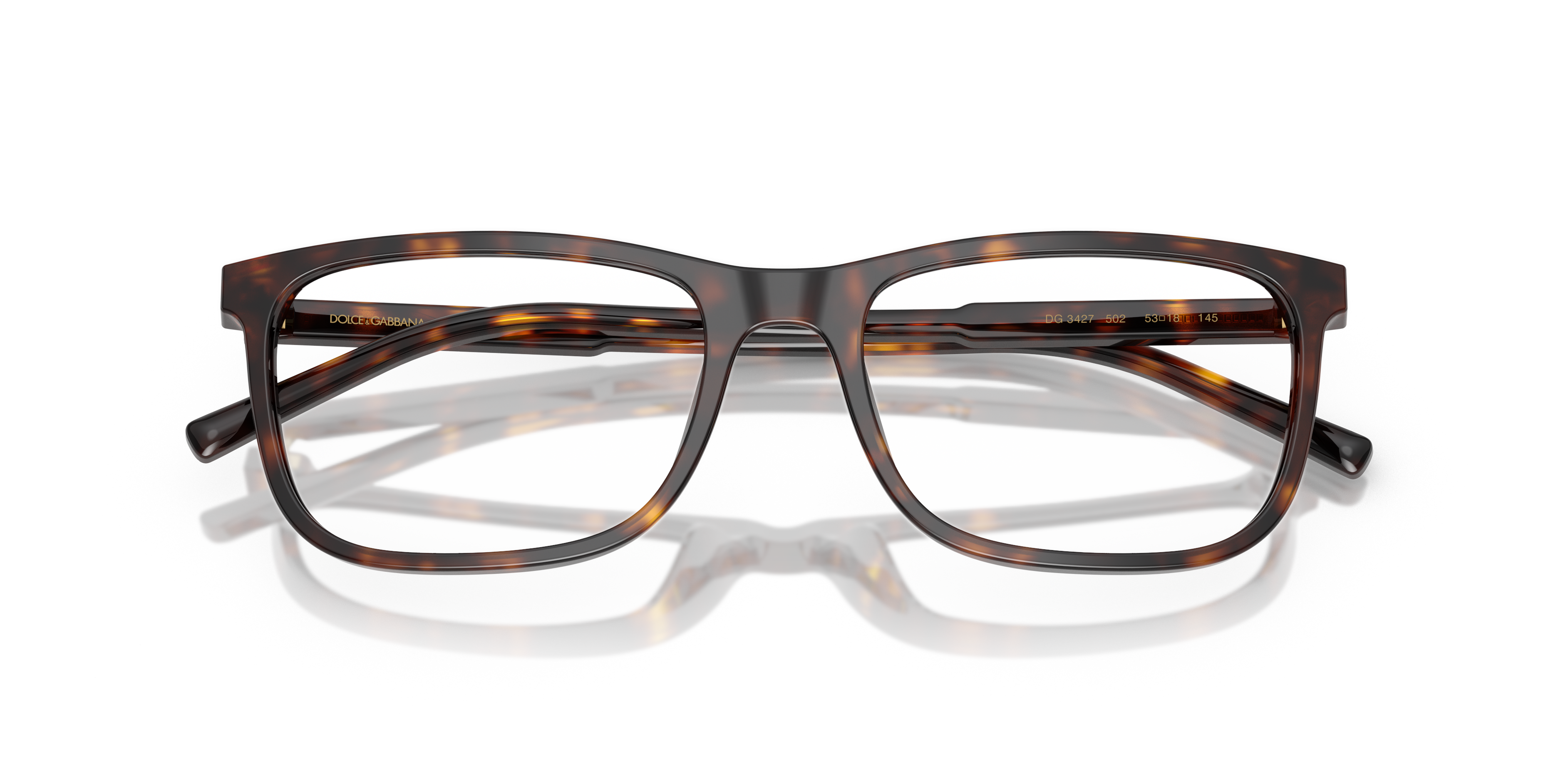 DOLCE & GABBANA DG3427 502 55