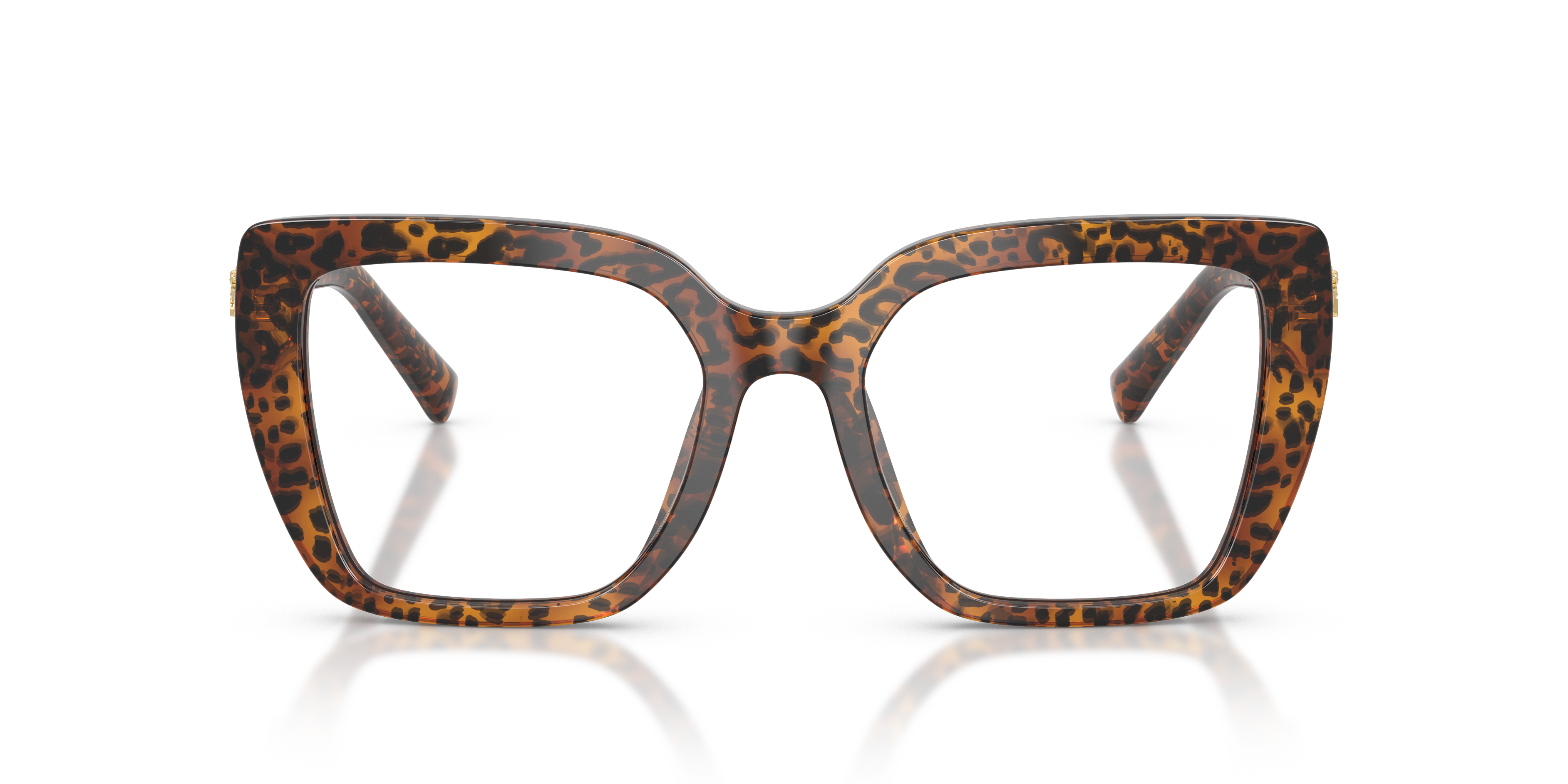 DOLCE & GABBANA DG3441 3470 53