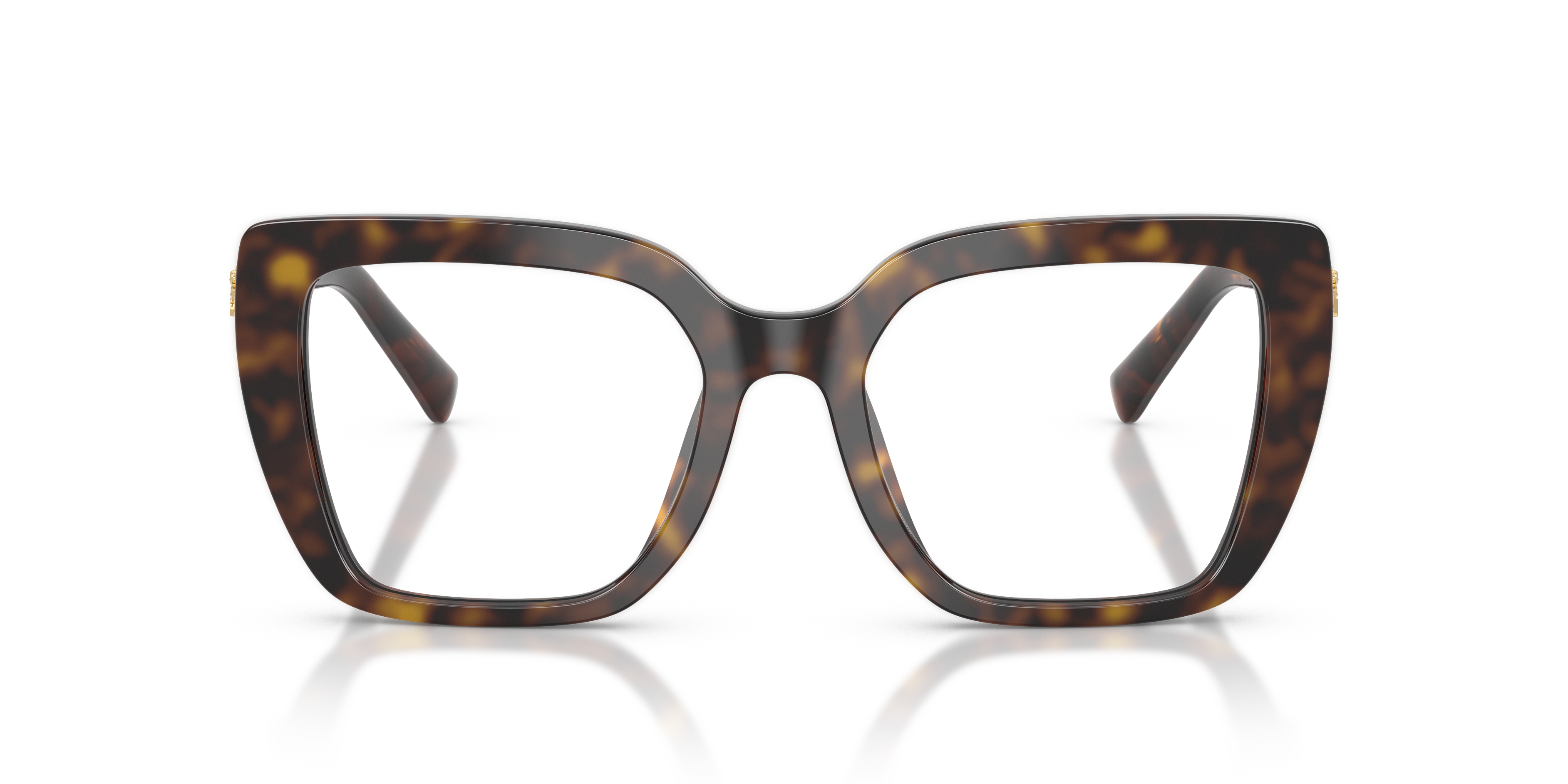 DOLCE & GABBANA DG3441 502 51