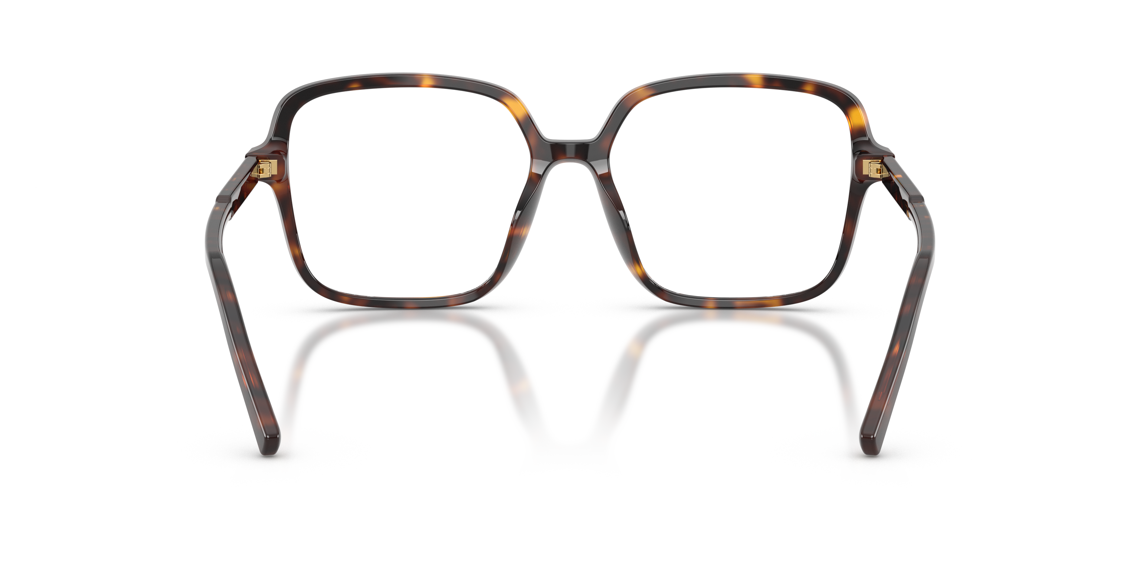 DOLCE & GABBANA DG3442 502 55