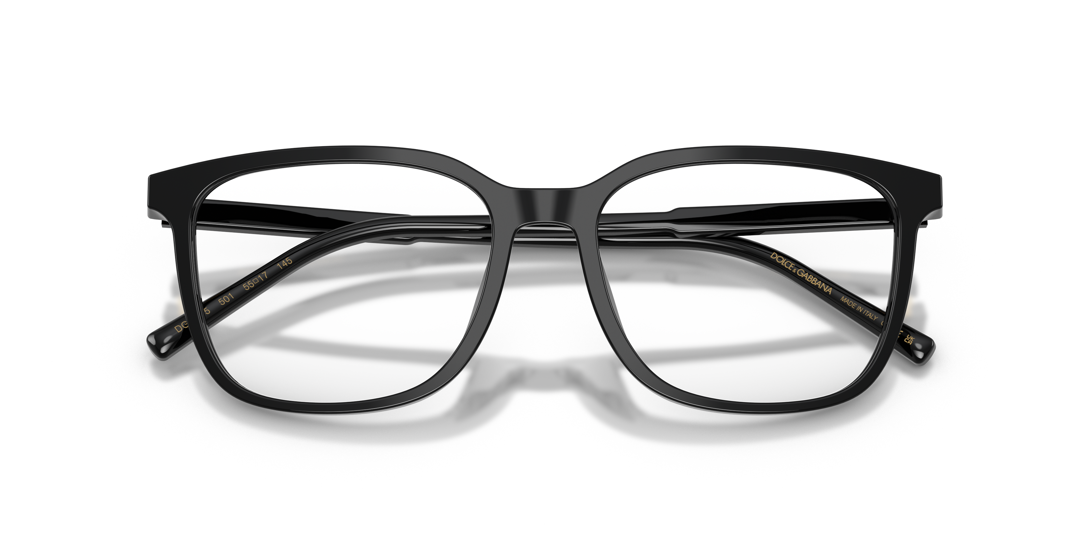 DOLCE & GABBANA DG3445 501 55