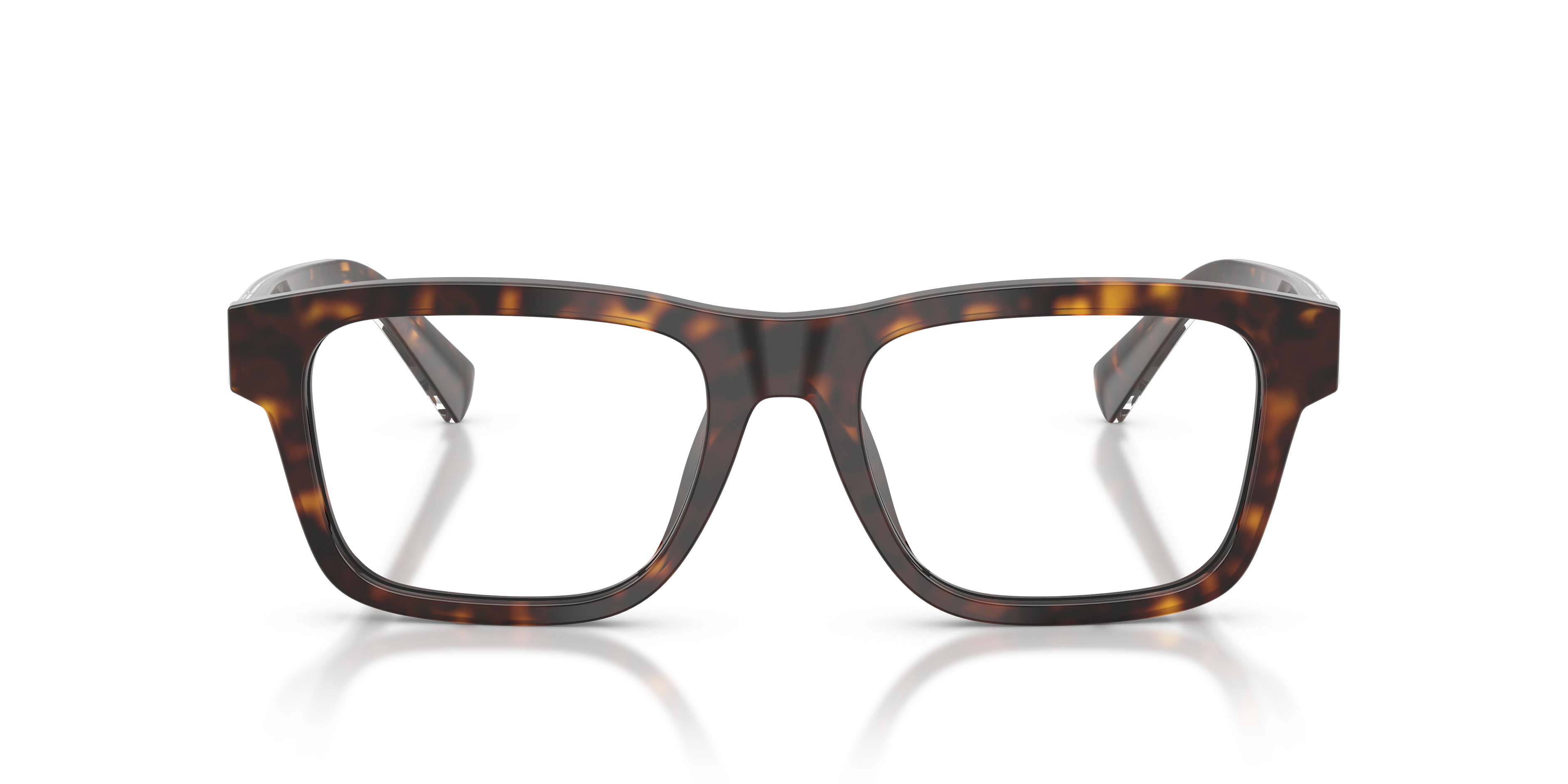 DOLCE & GABBANA DG3446 502 53