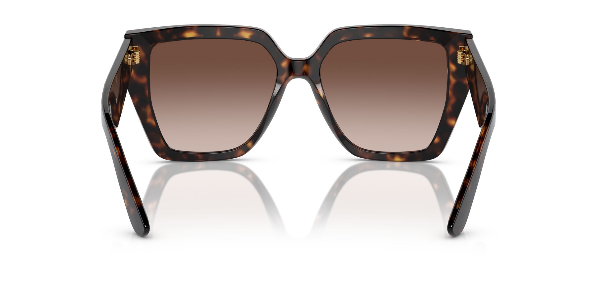 DOLCE & GABBANA DG4438 502/13 55