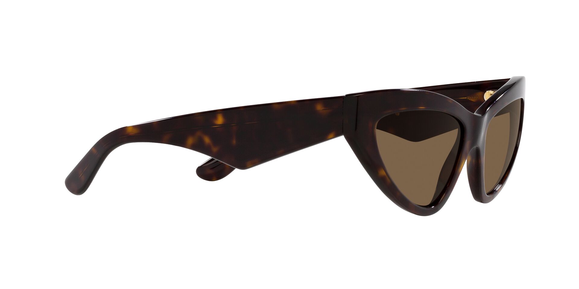 DOLCE & GABBANA DG4439 502/73 55