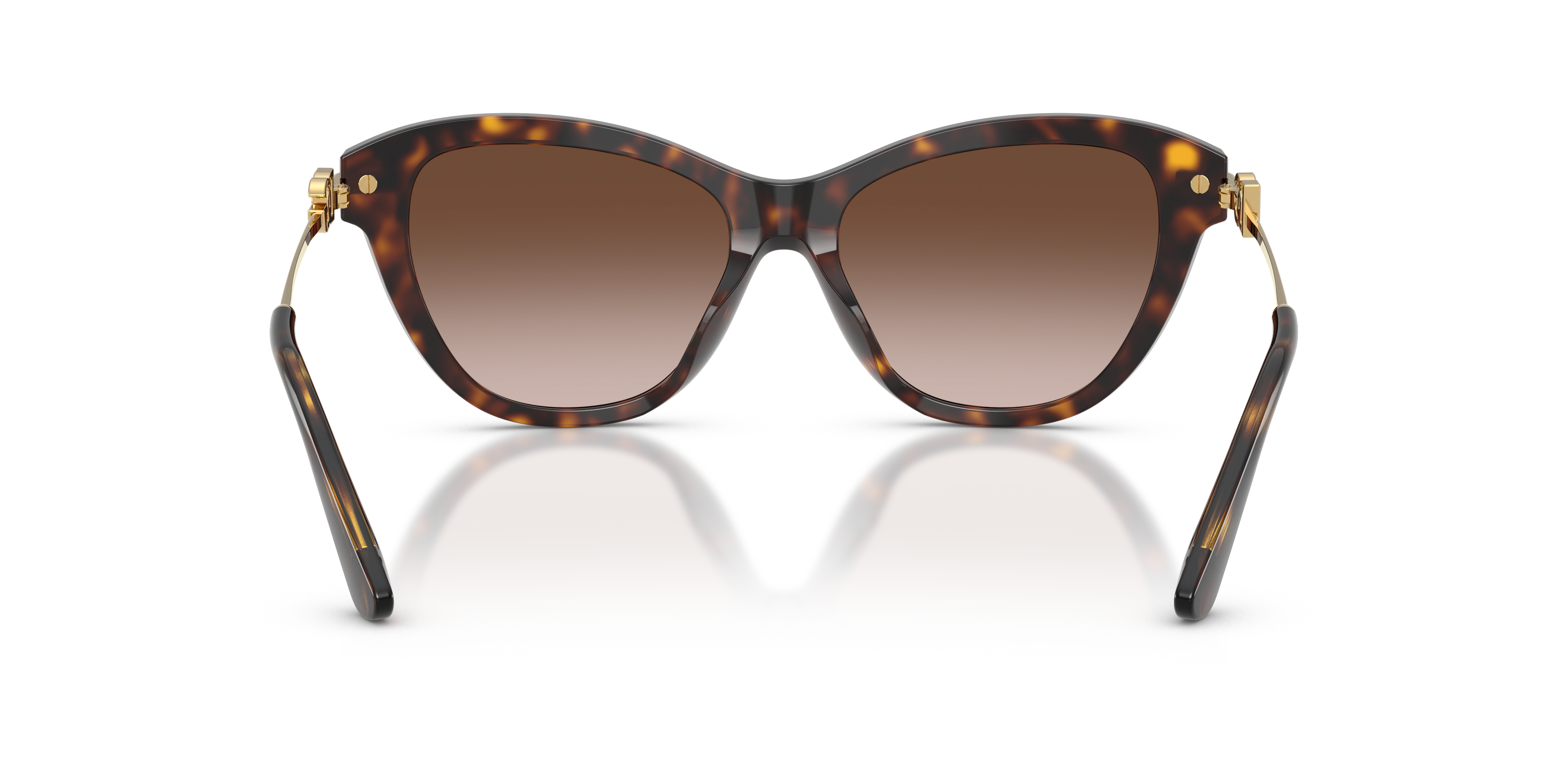 DOLCE & GABBANA DG4534 502/13 53