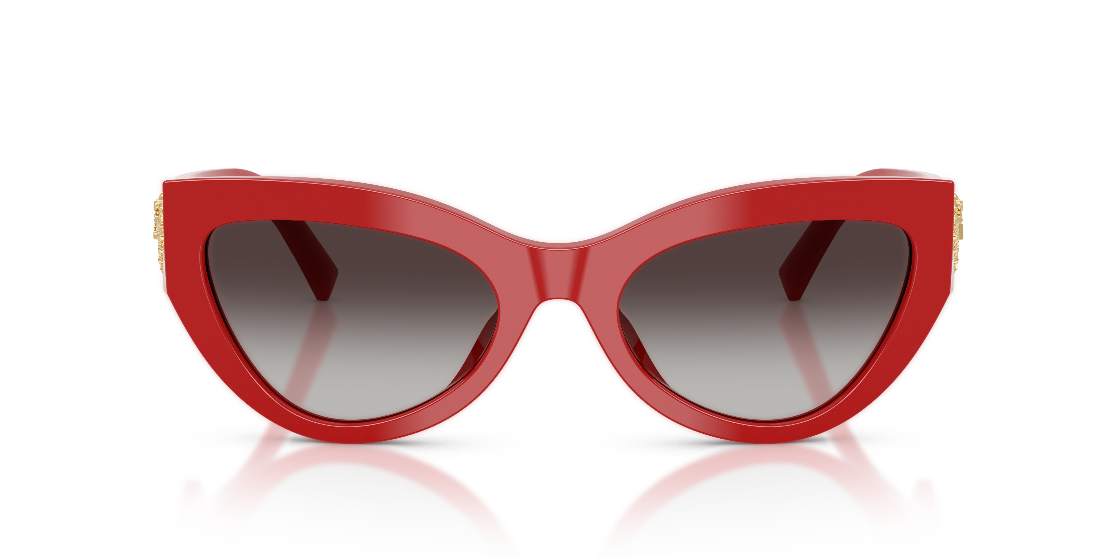DOLCE & GABBANA DG4536 30888G 55