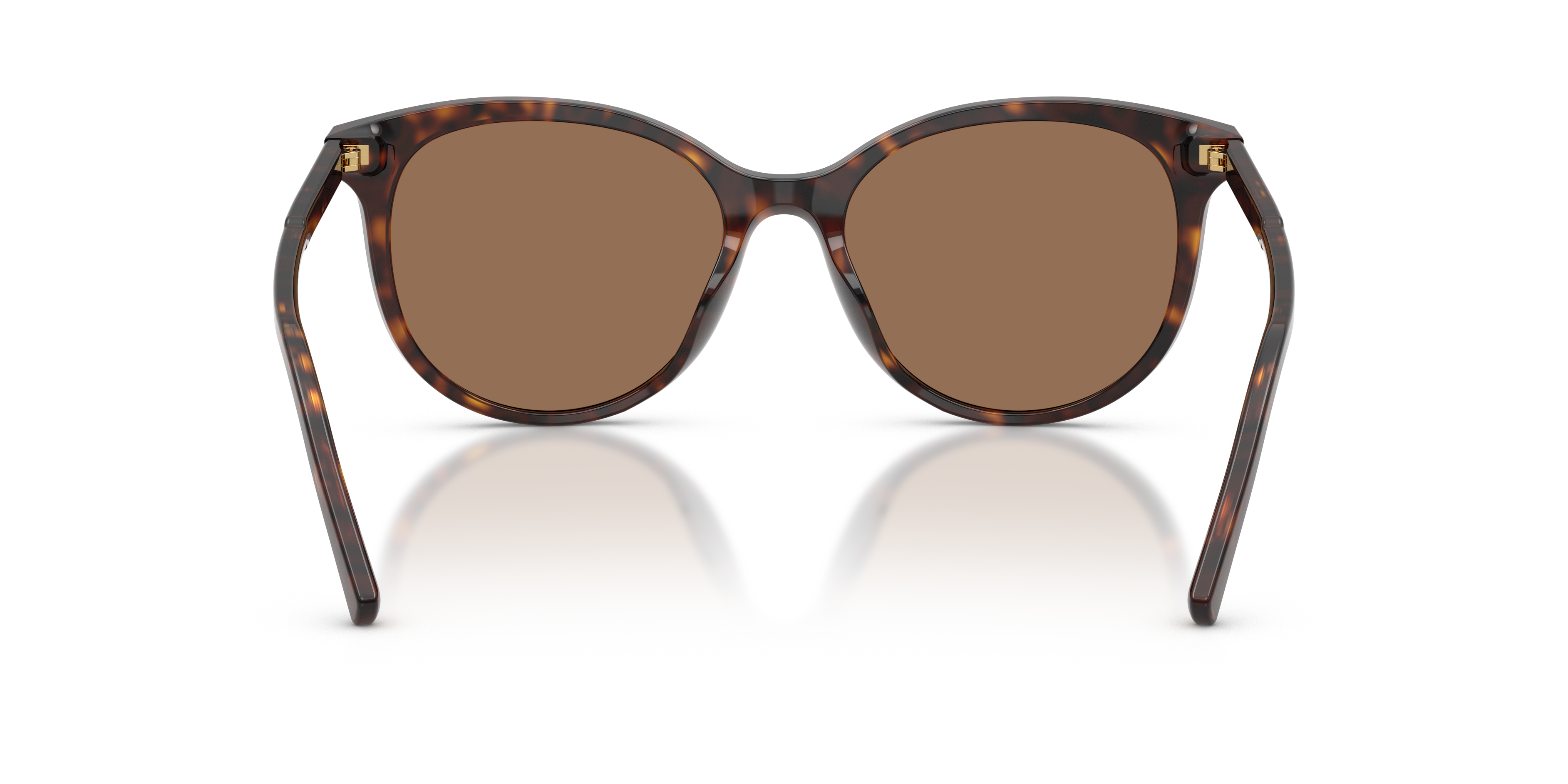 DOLCE & GABBANA DG4540 502/13 55