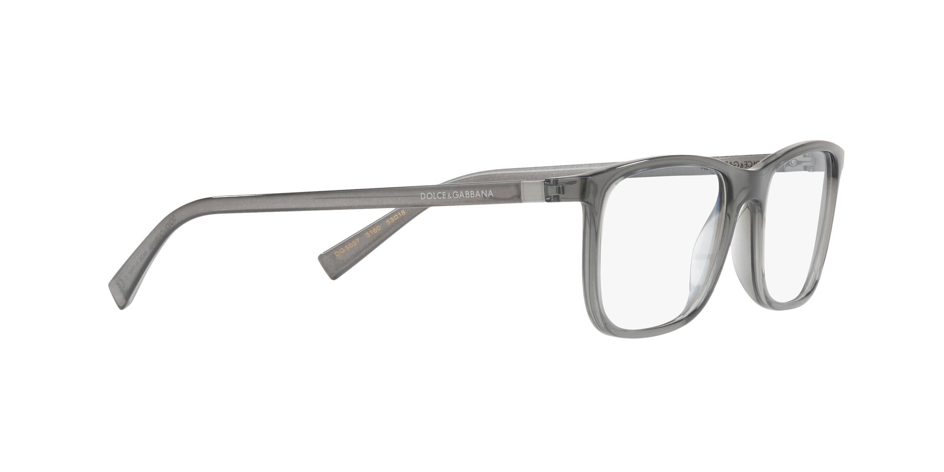 DOLCE & GABBANA DG5027 3160 55