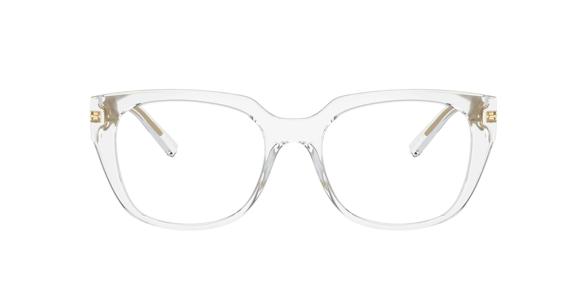 DOLCE & GABBANA DG5087 3133 53