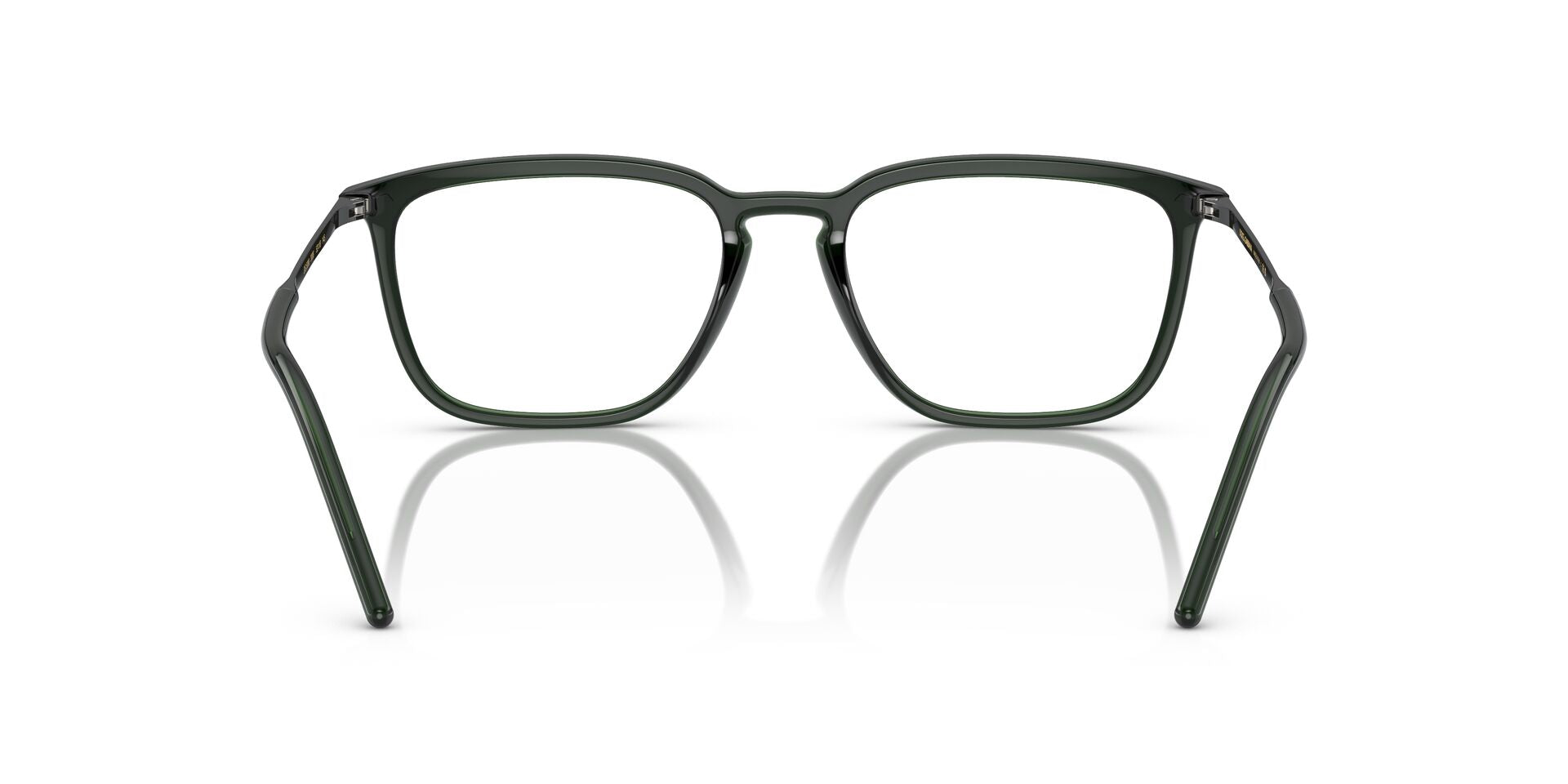 DOLCE & GABBANA DG5098 3008 54