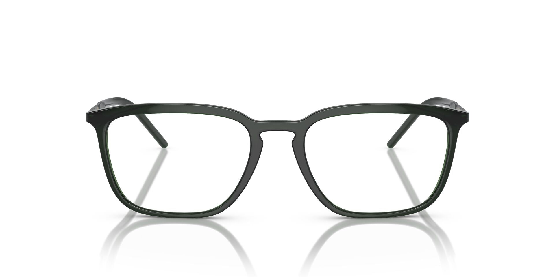 DOLCE & GABBANA DG5098 3008 54