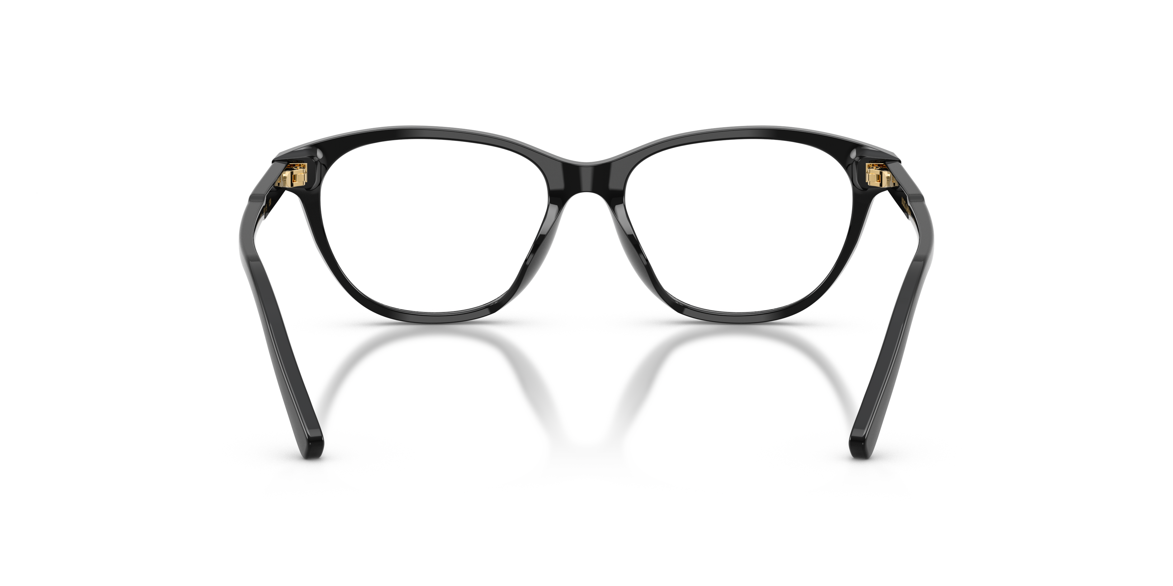 DOLCE & GABBANA DX3002 501 50