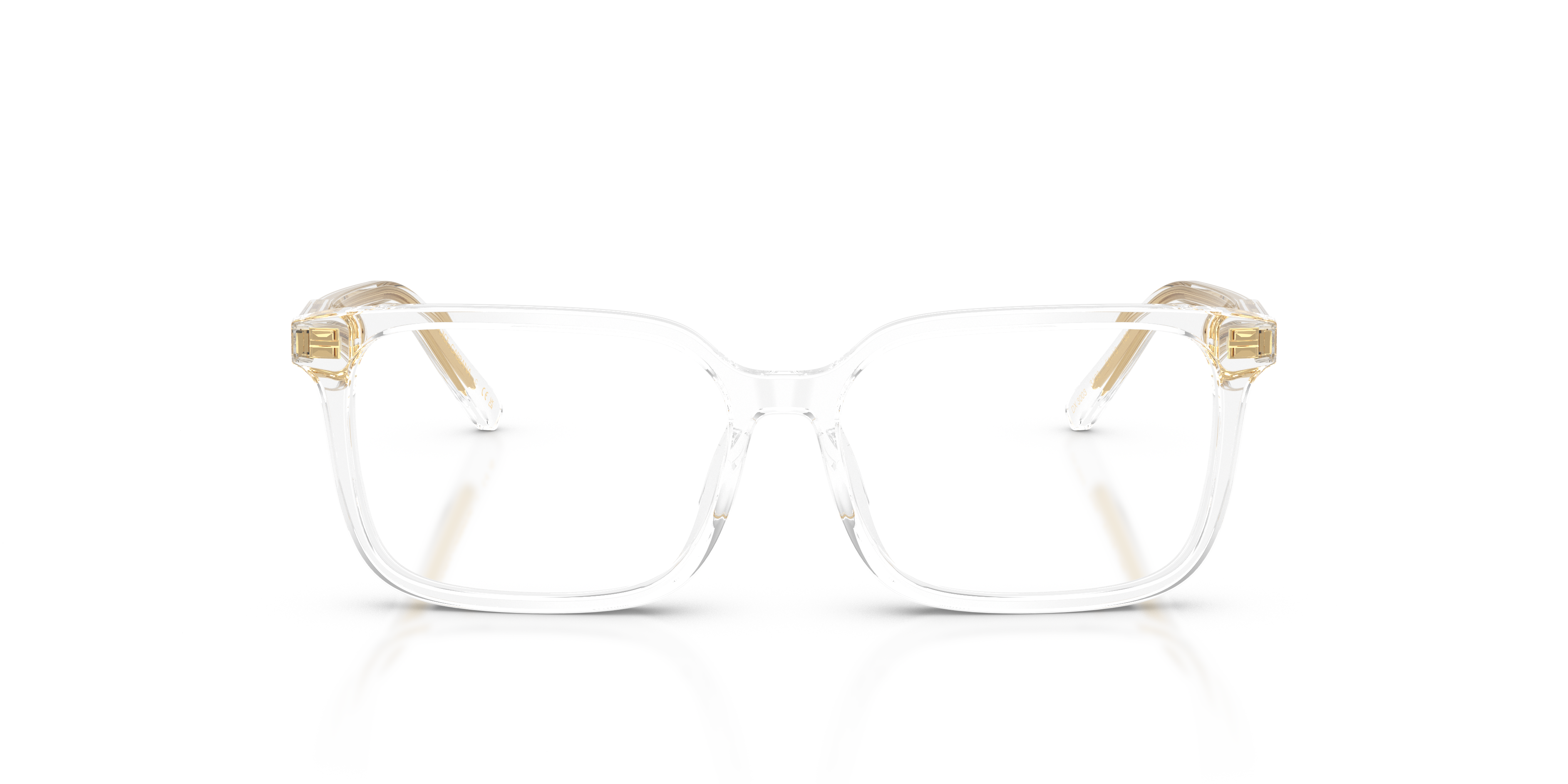 DOLCE & GABBANA DX3003 3133 49