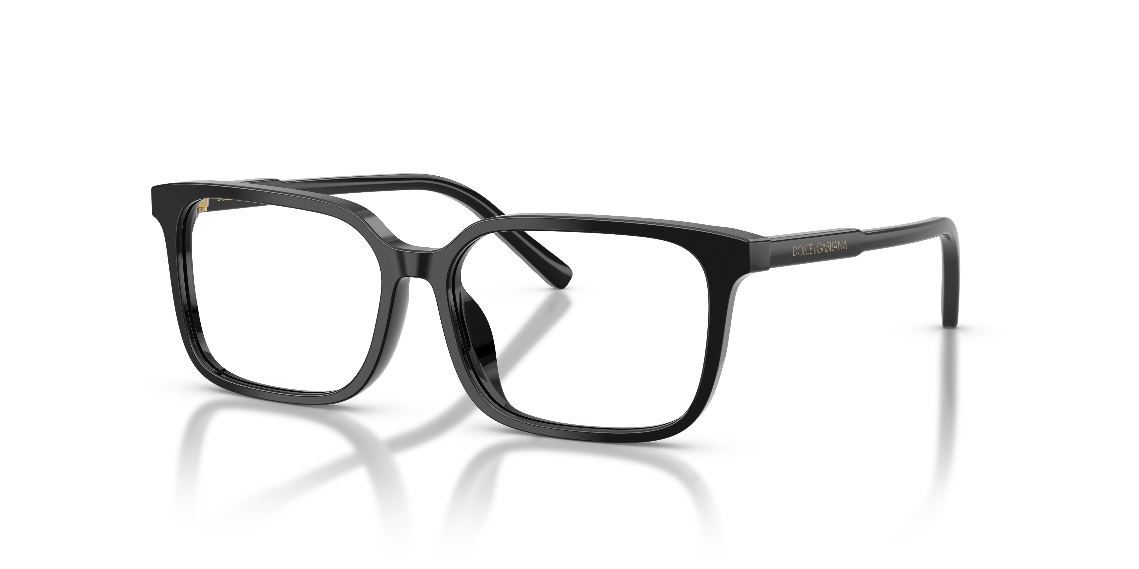 DOLCE & GABBANA DX3003 501 49