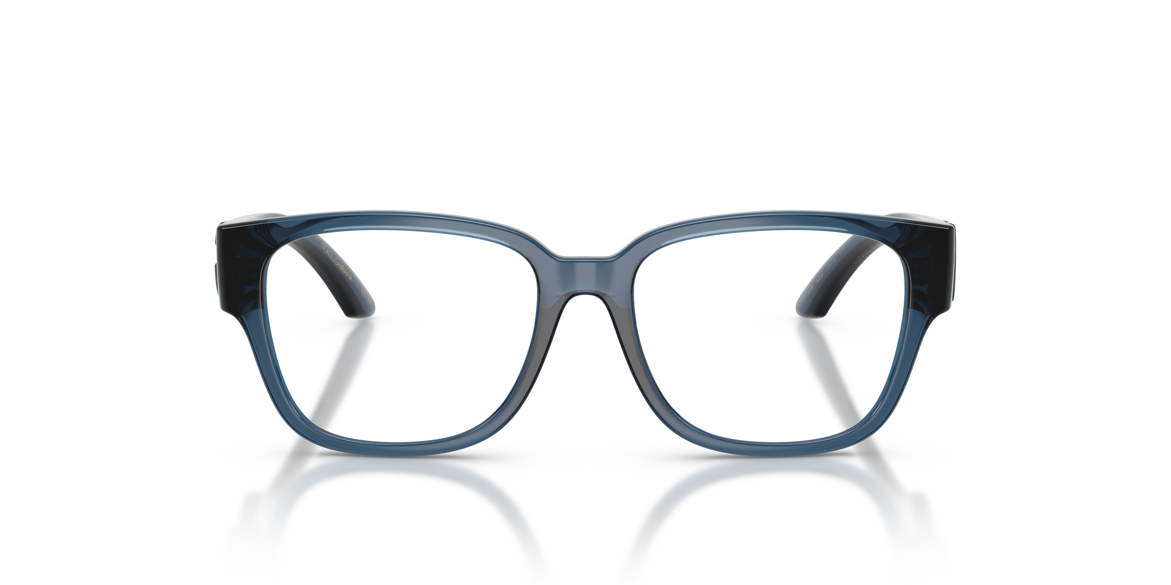 DOLCE & GABBANA DX5006 3009 49