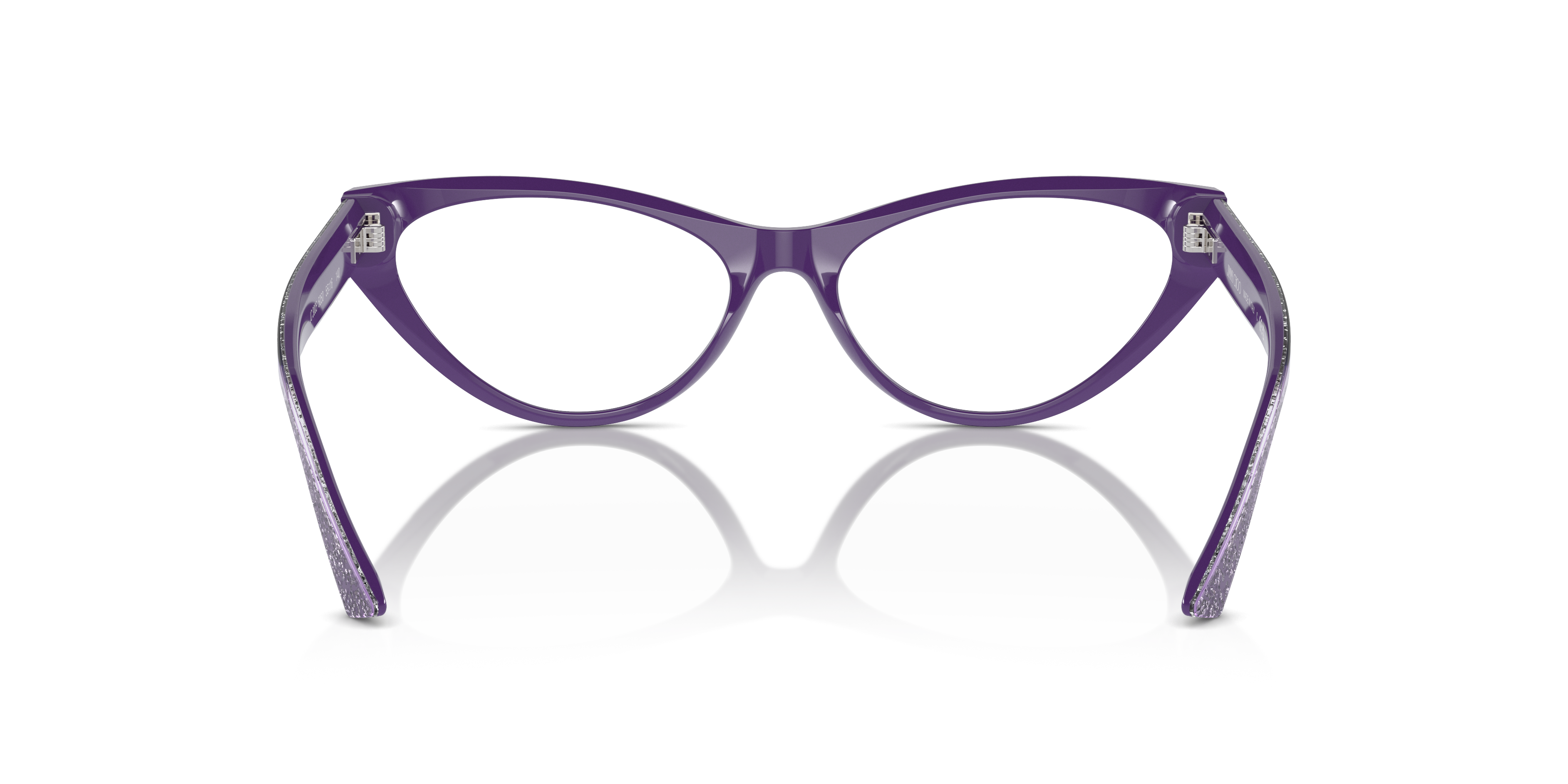 JIMMY CHOO JC3005 5050 55