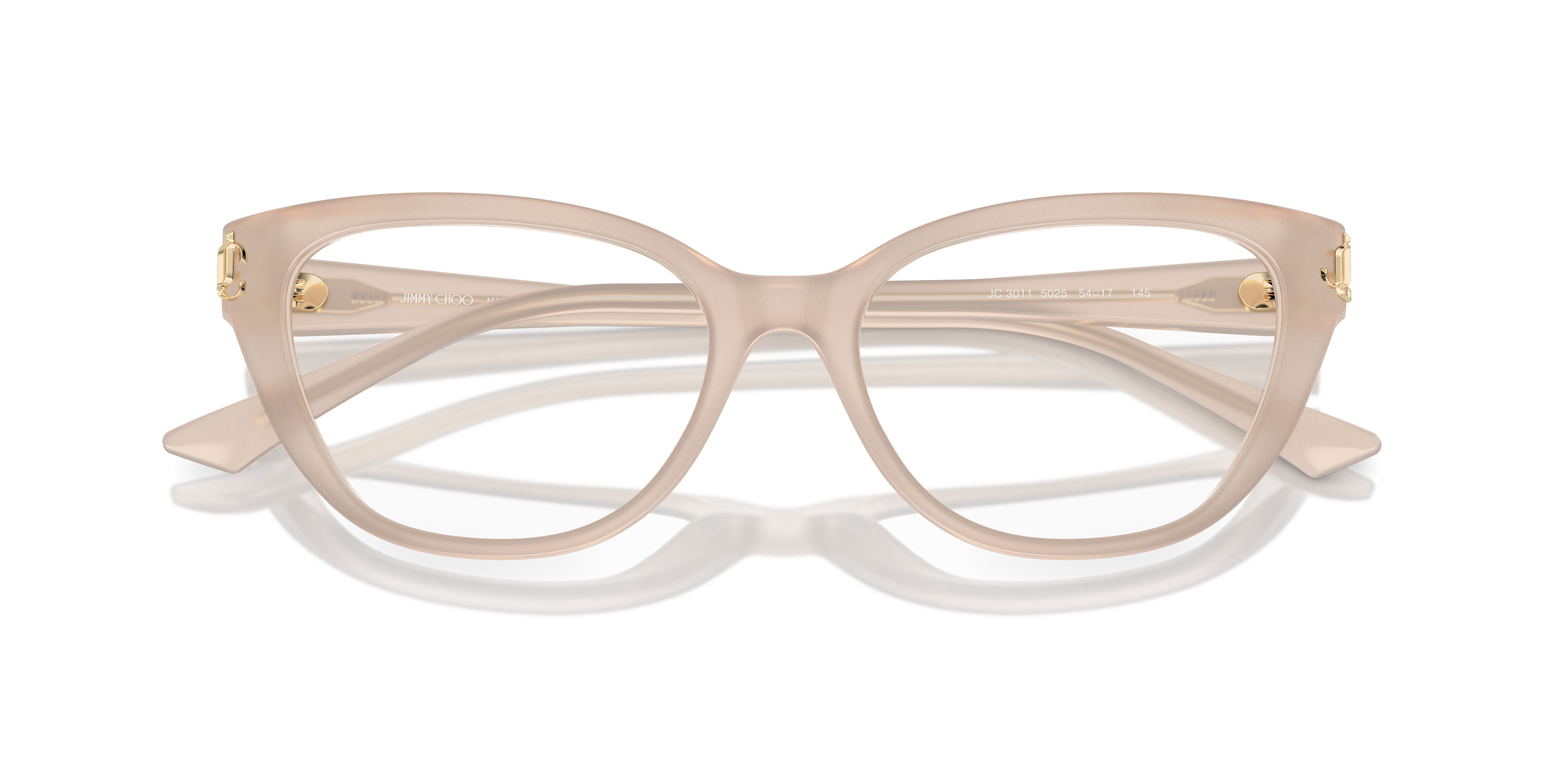 JIMMY CHOO JC3011 5025 54