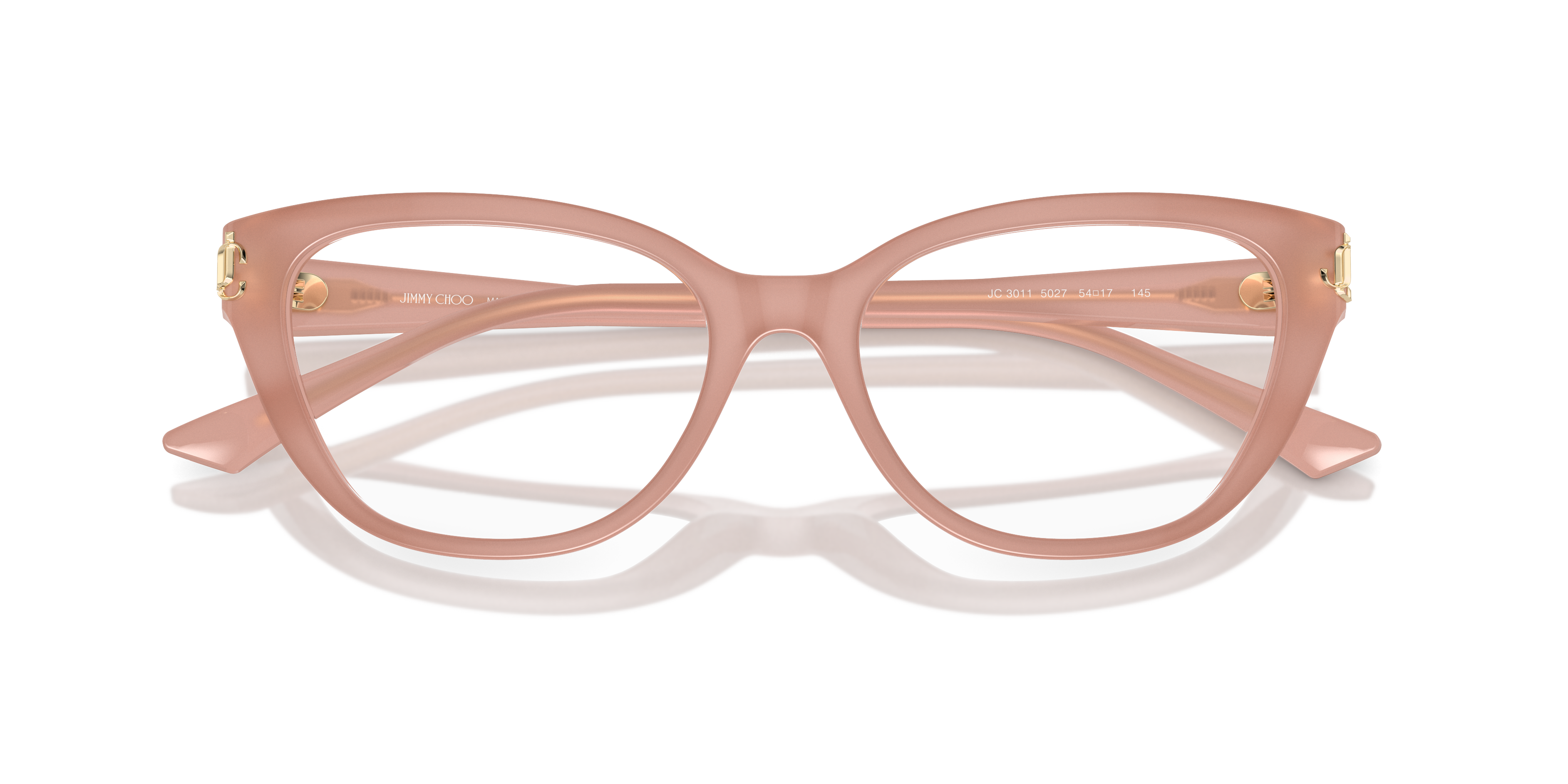 JIMMY CHOO JC3011 5027 52