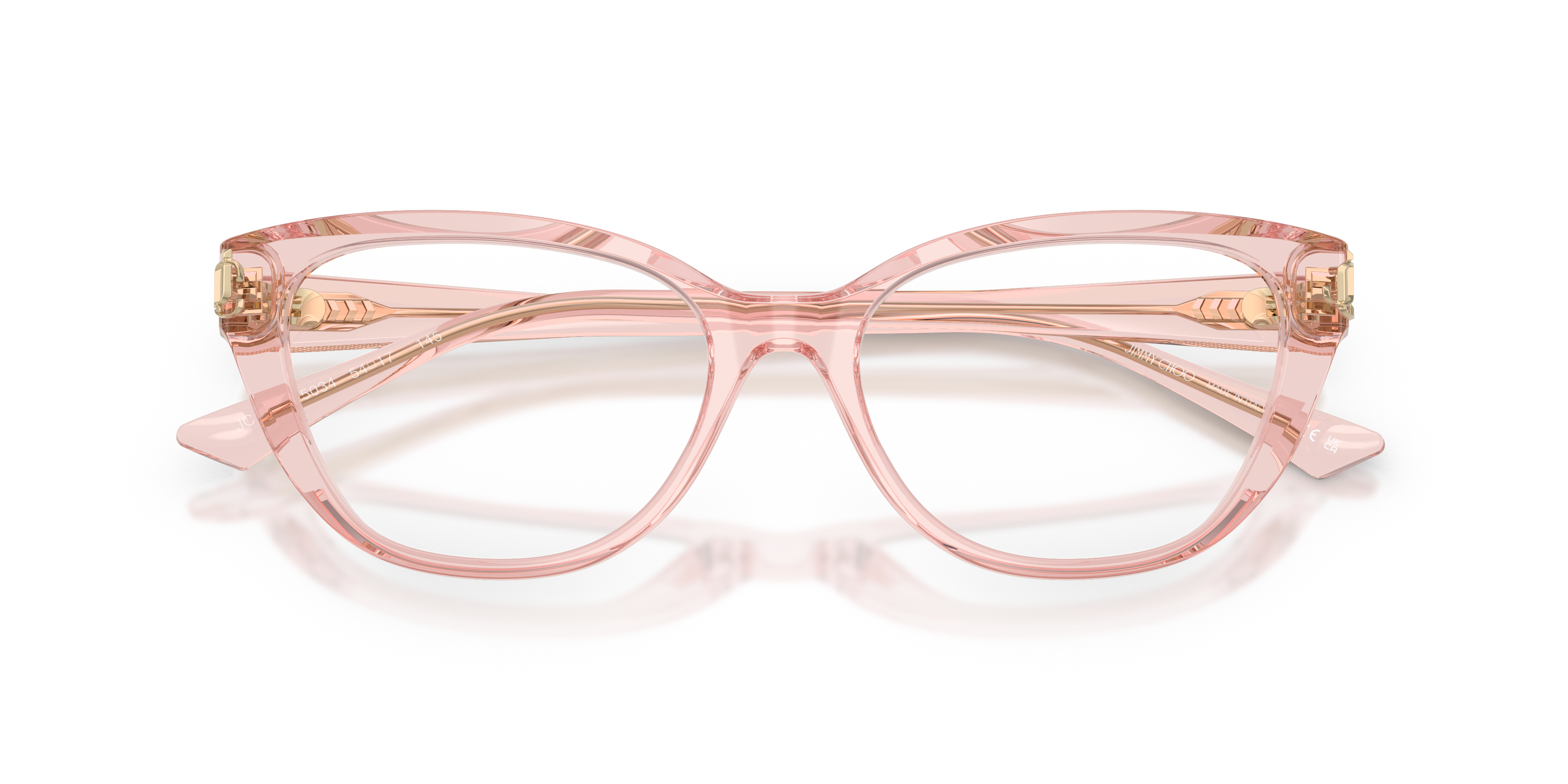 JIMMY CHOO JC3011 5034 54