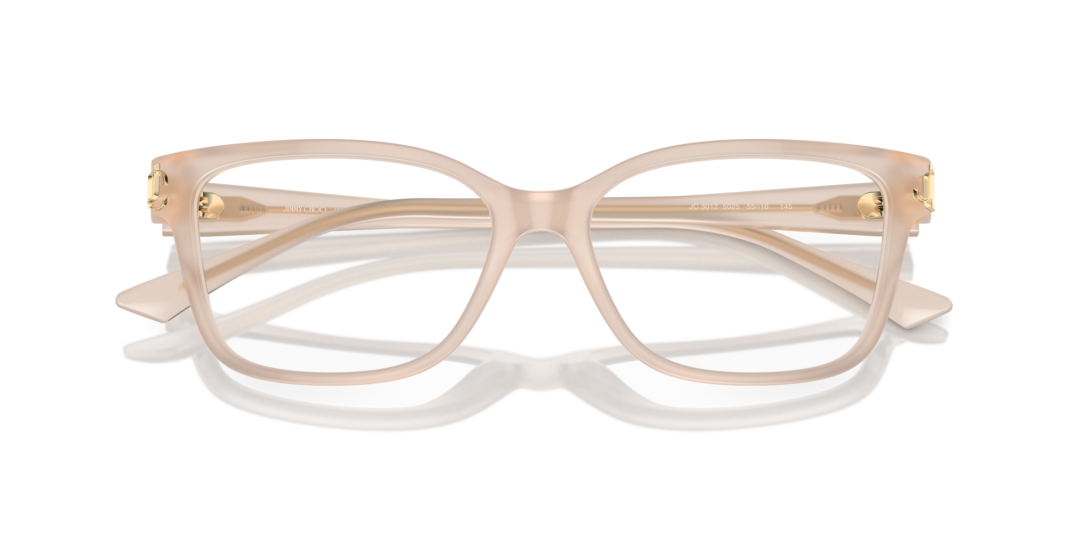 JIMMY CHOO JC3012 5025 53