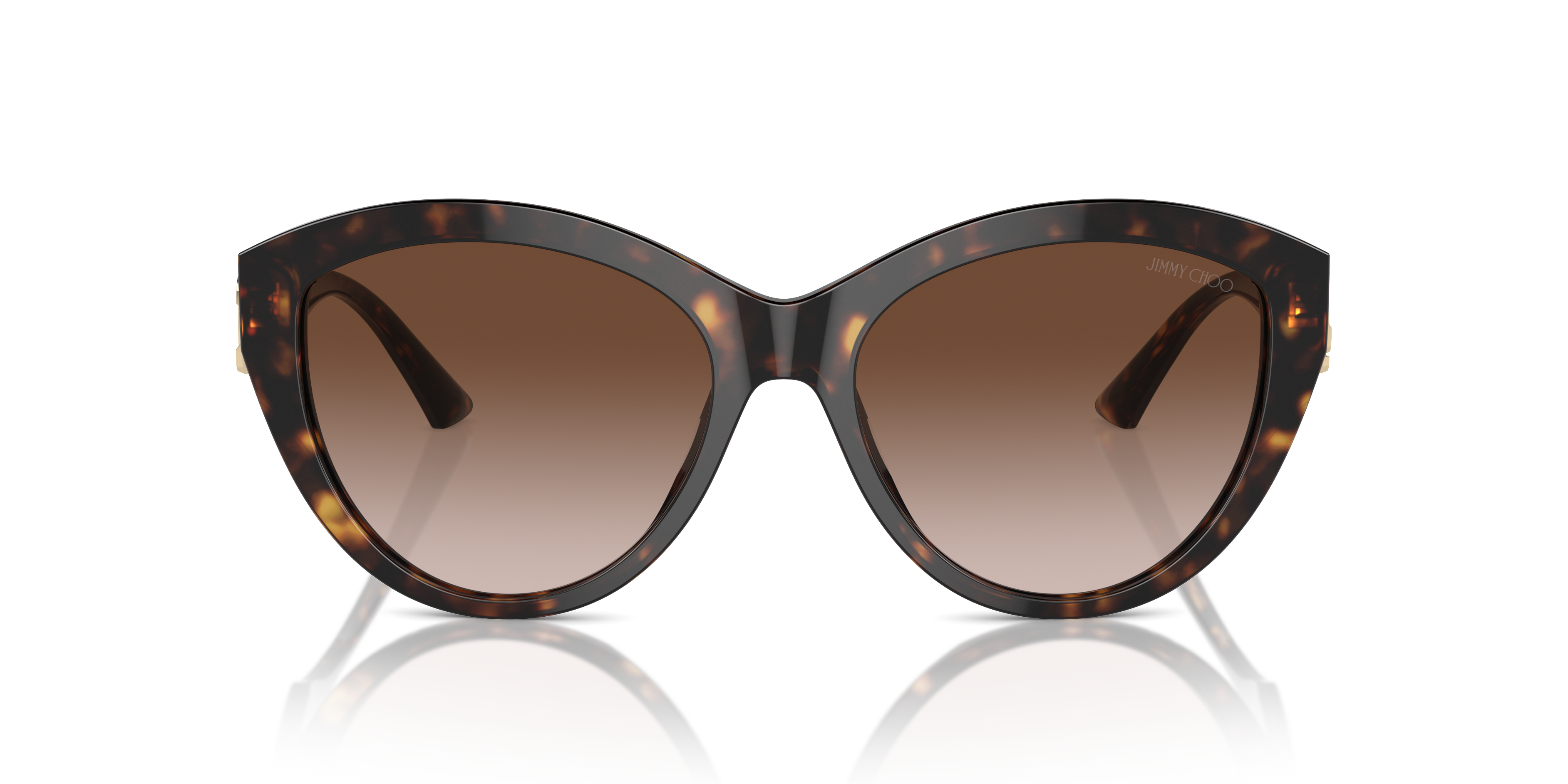 JIMMY CHOO JC5007 500213 55