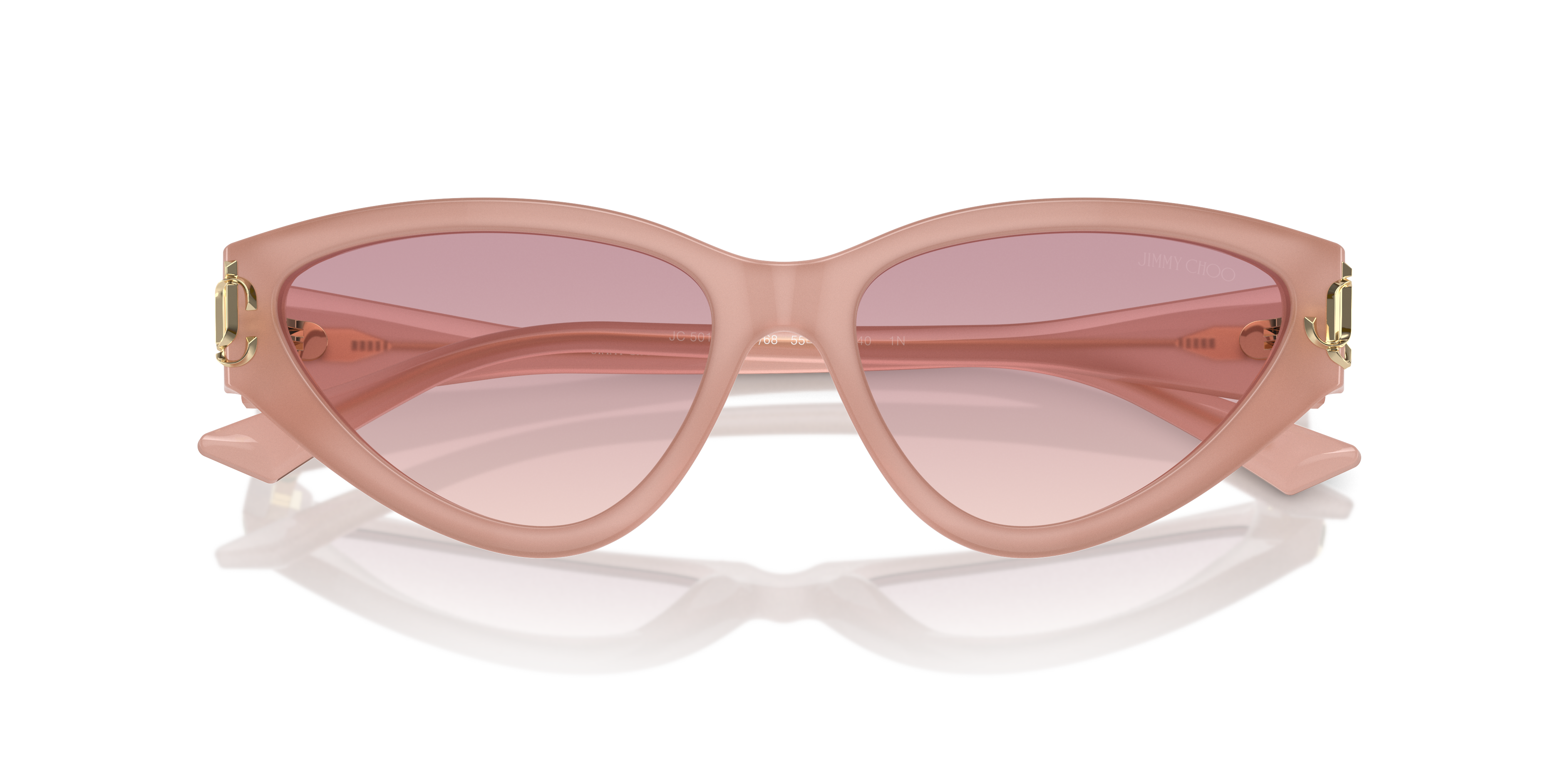 JIMMY CHOO JC5019 502768 55