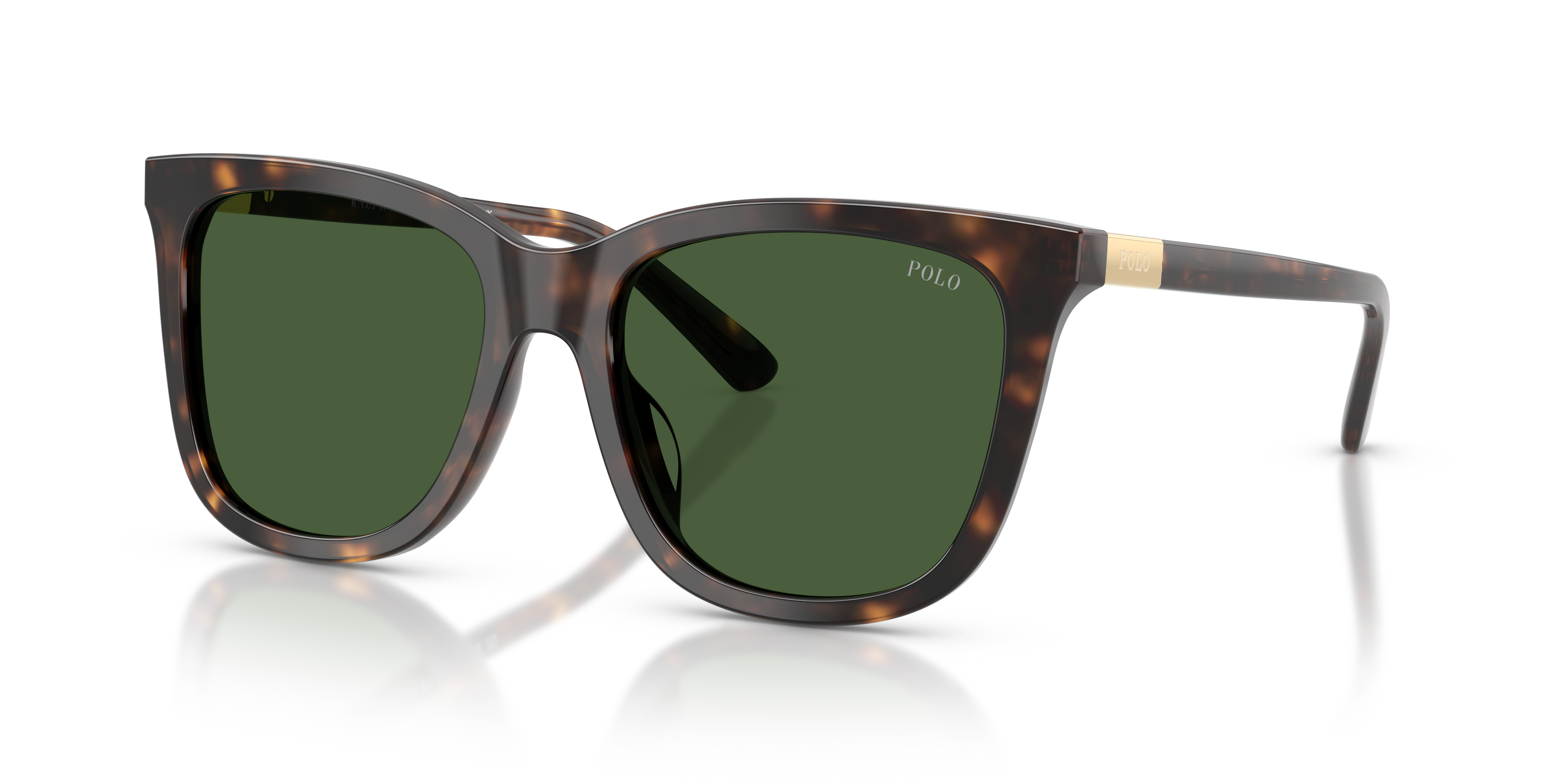 POLO PH4201U 500371 55