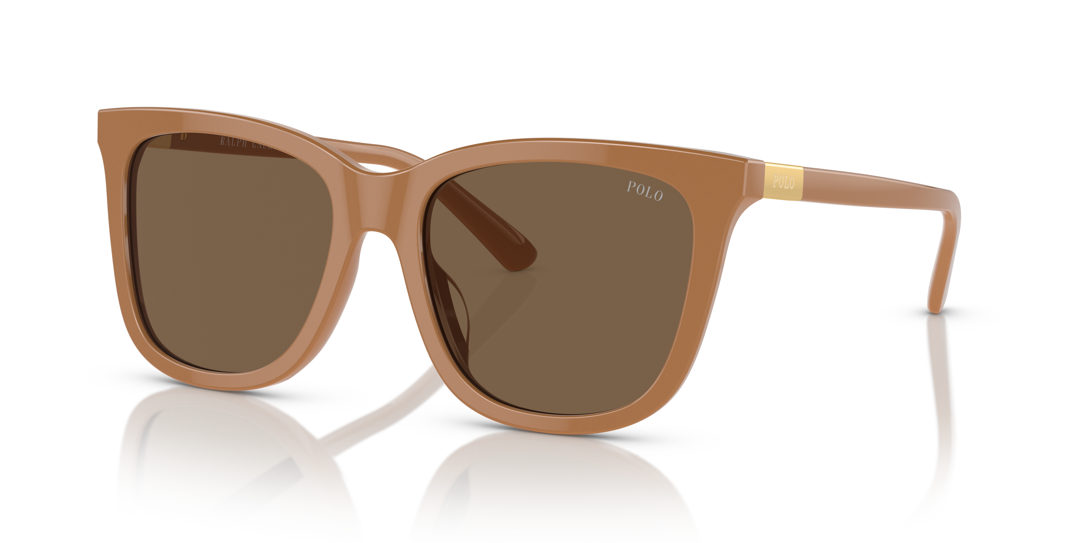 POLO PH4201U 619673 55