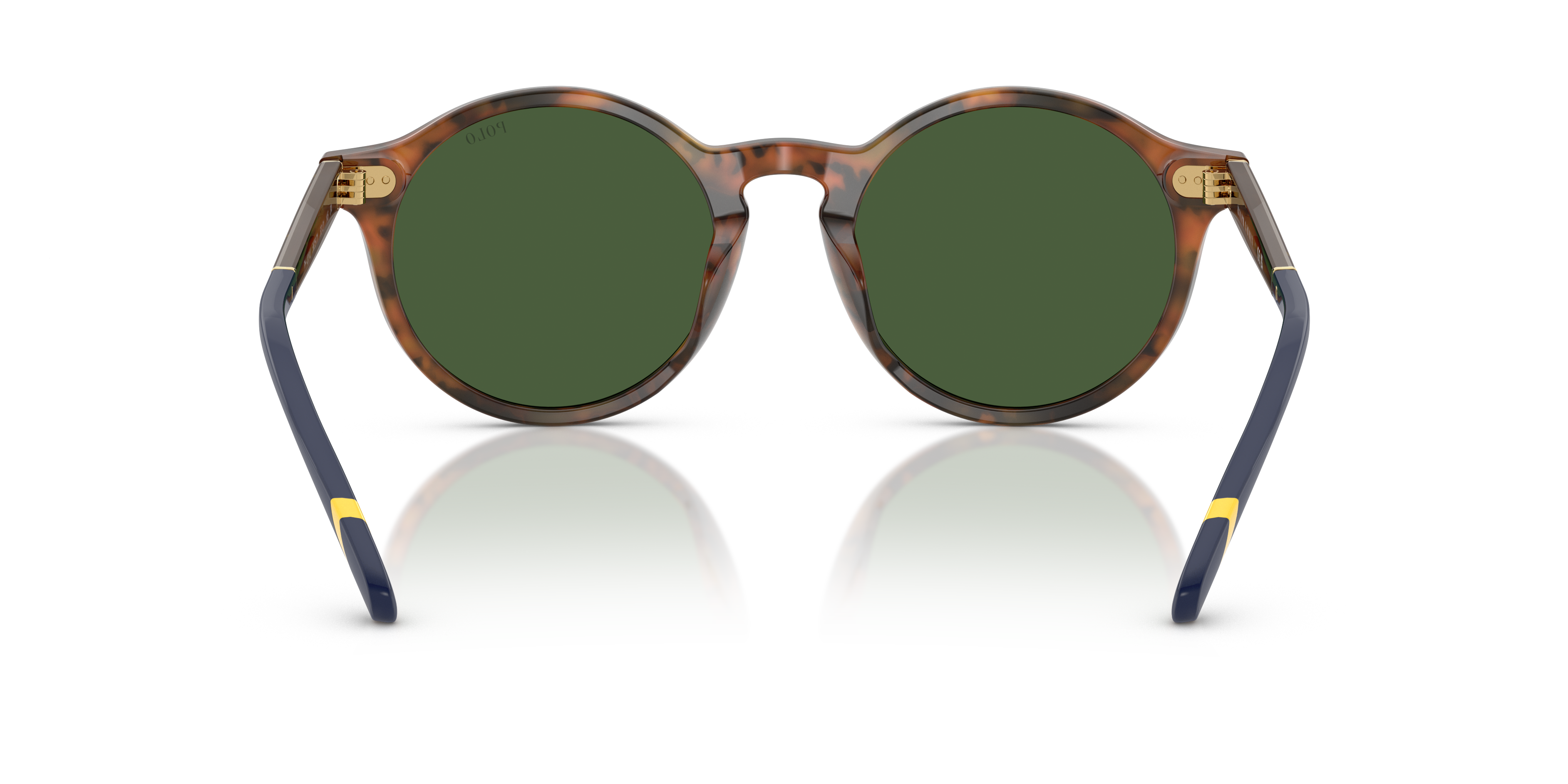 POLO PH4204U 562571 53