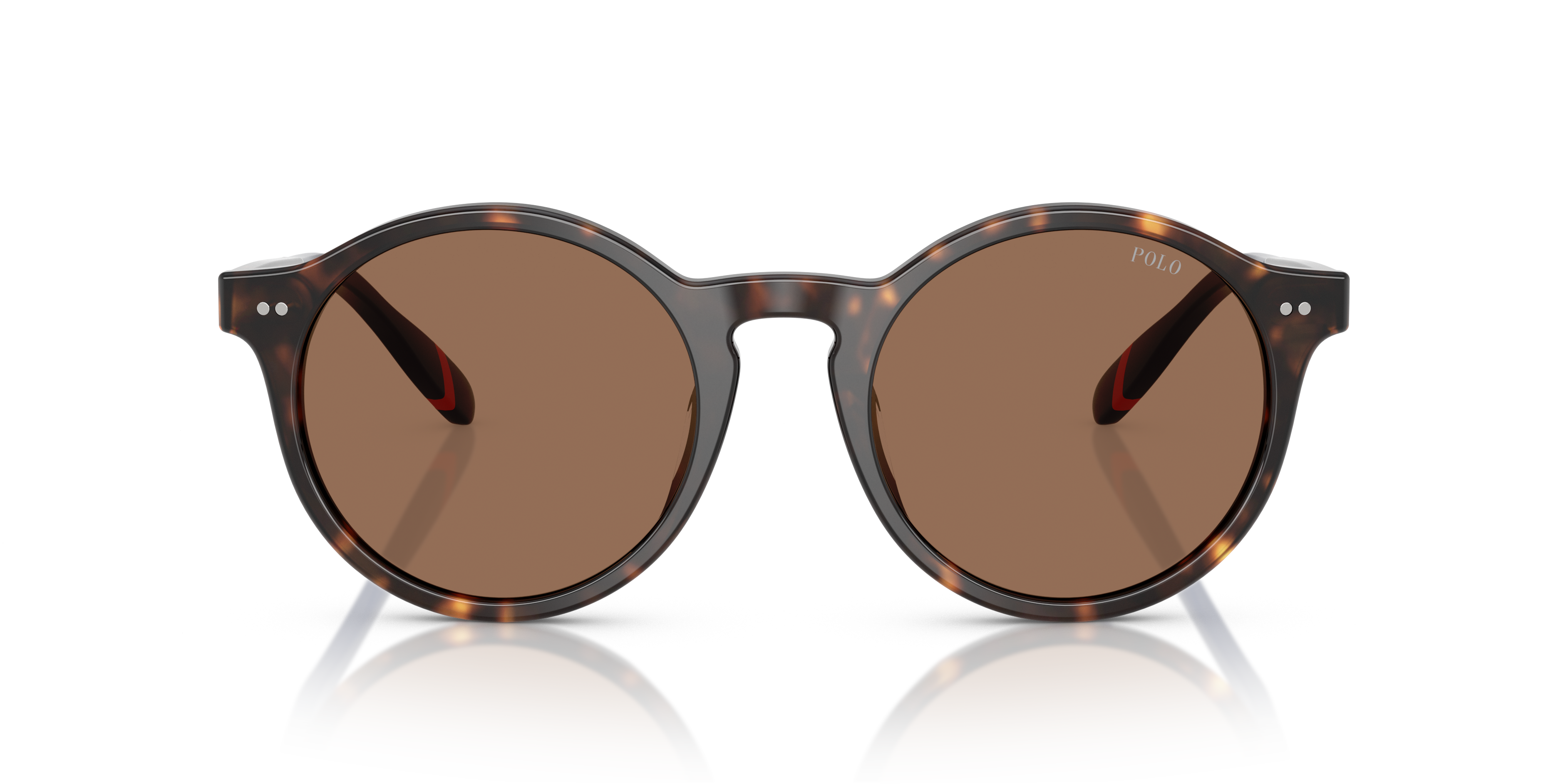 POLO PH4204U 567373 50