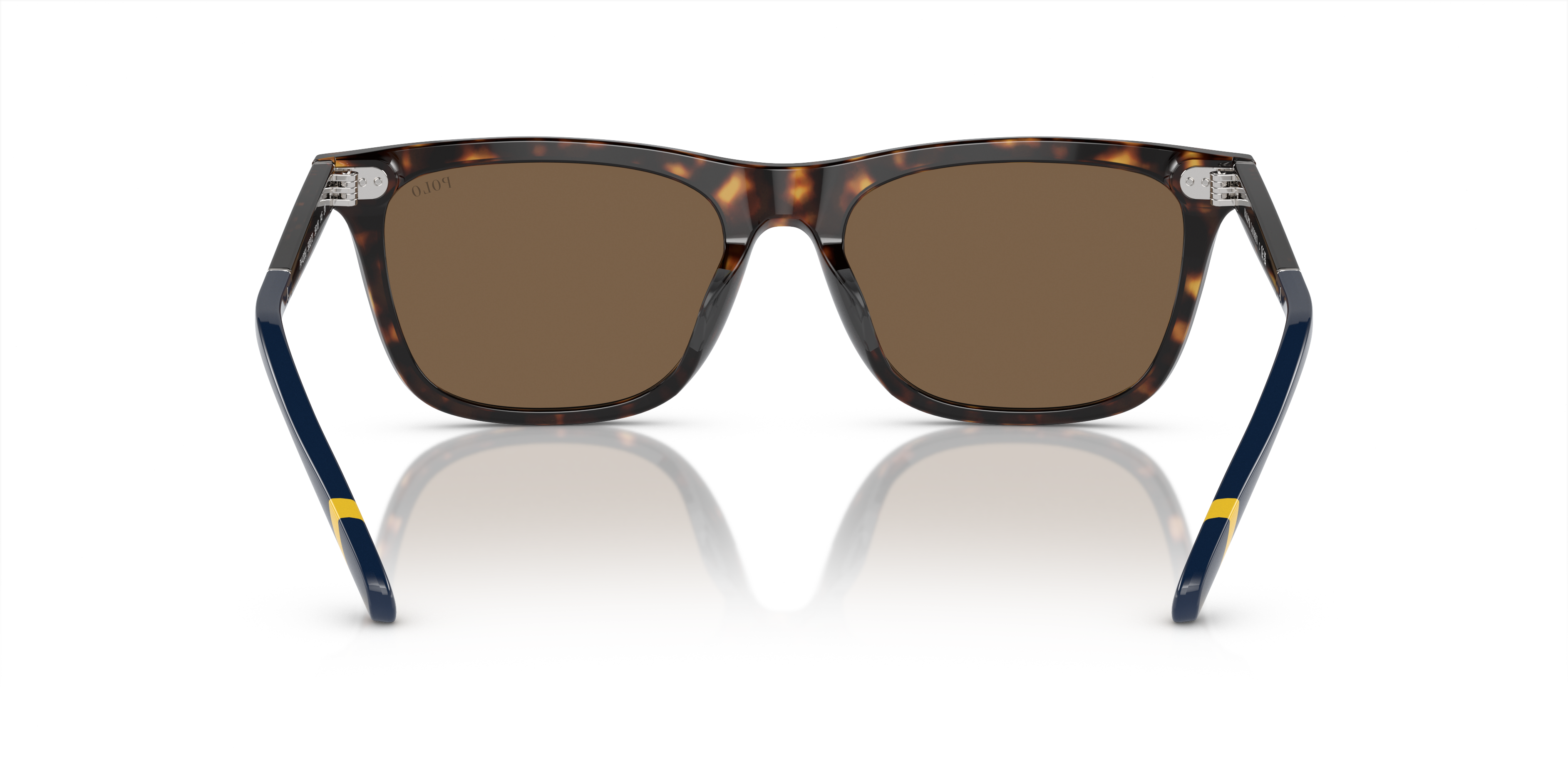 POLO PH4205U 500373 56