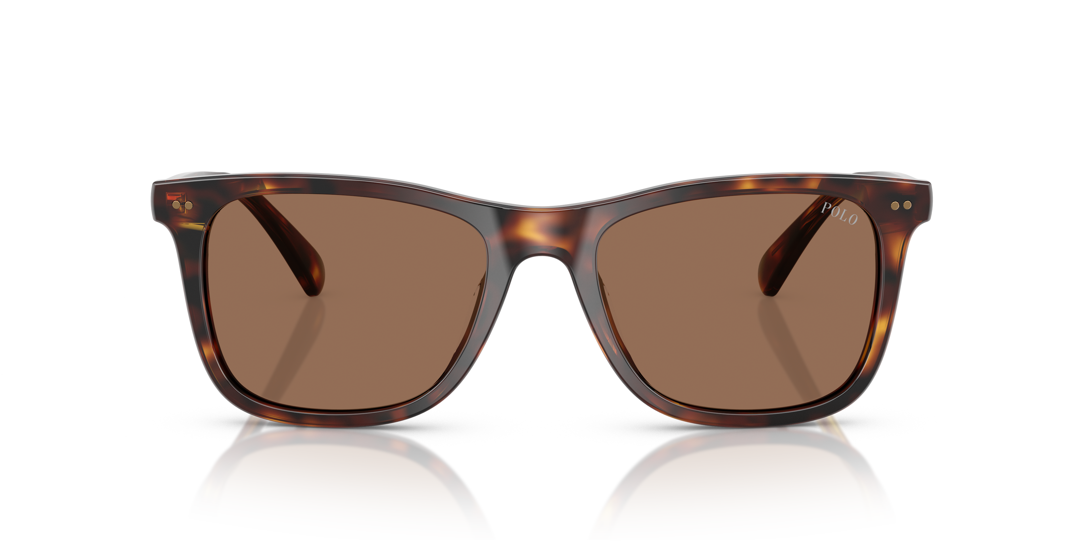 POLO PH4220U 613773 55