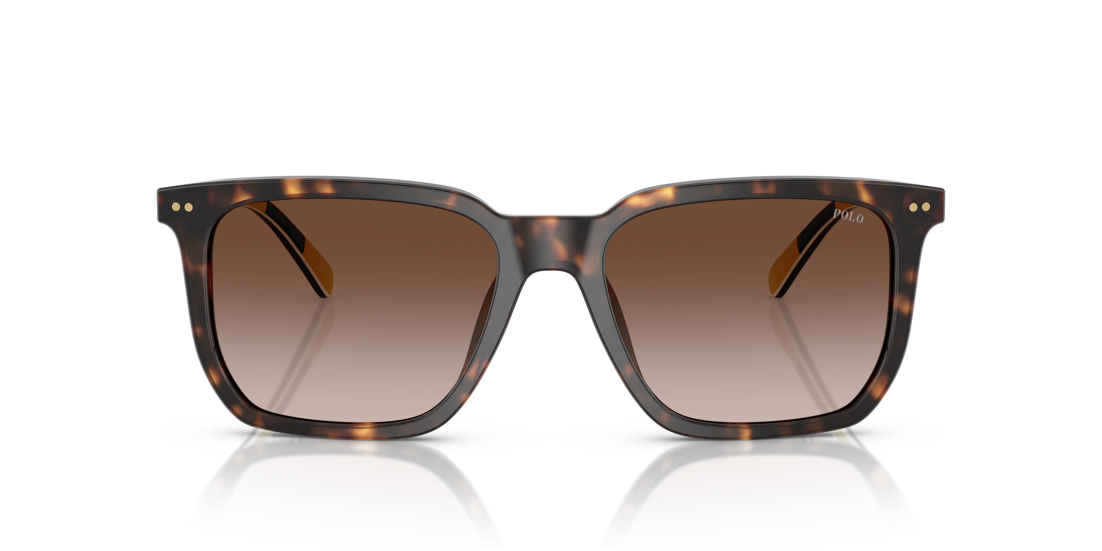 POLO PH4224U 500313 55