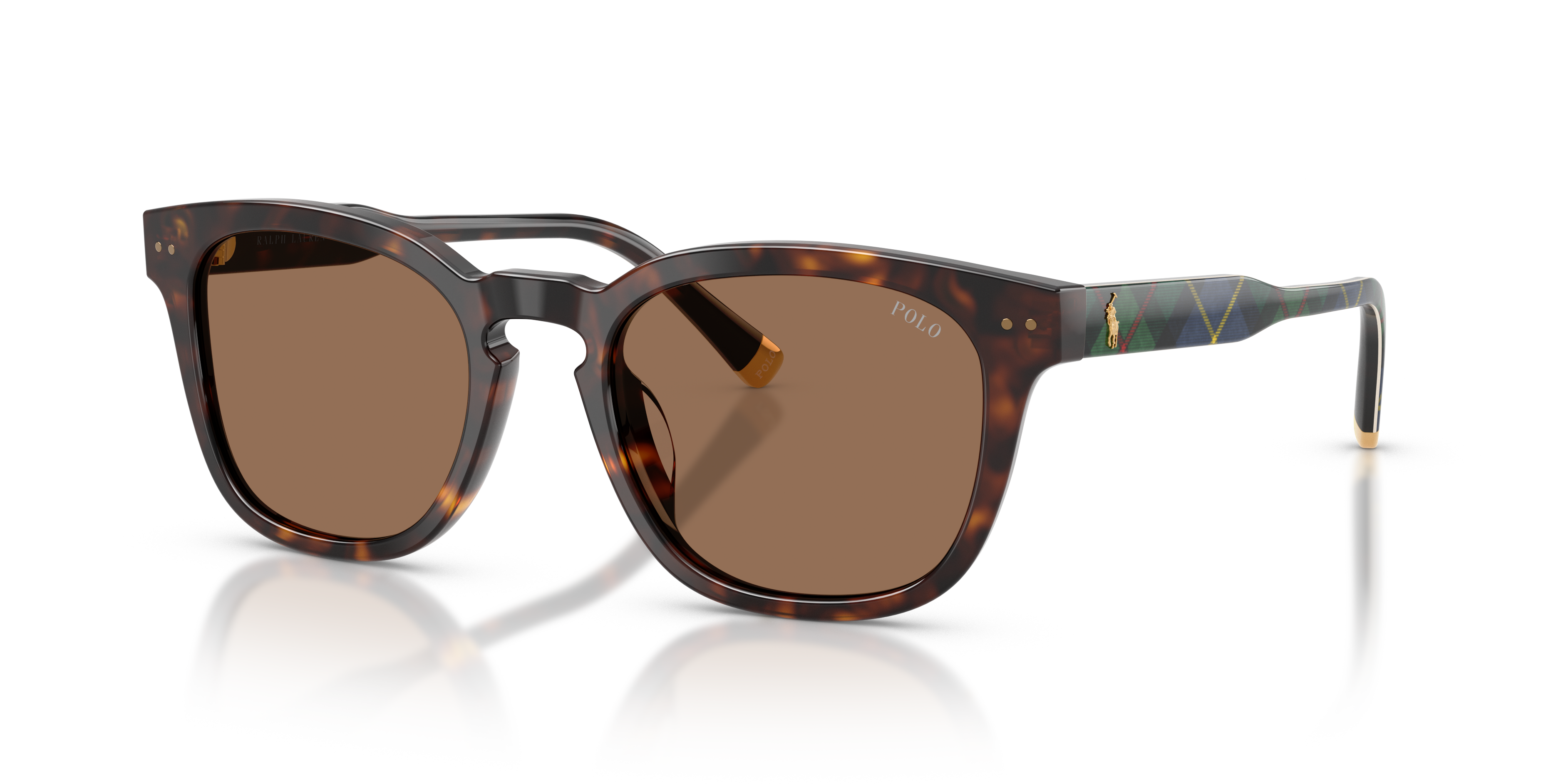 POLO PH4242U 562573 52