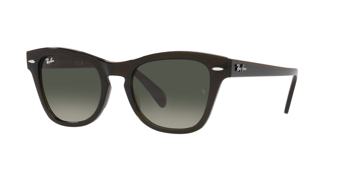 Occhiali da sole ray-ban rb0707s 664271 unisex taglia 53mm - Vista principale