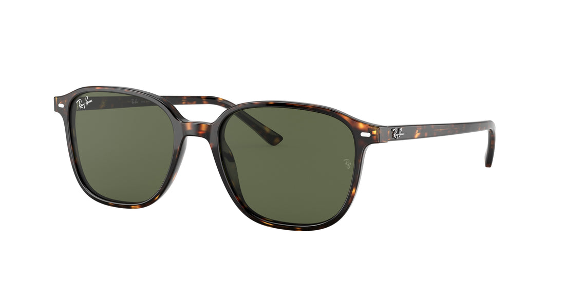 Occhiali da sole ray-ban rb2193 leonard 902/31 unisex taglia 53mm - Vista principale