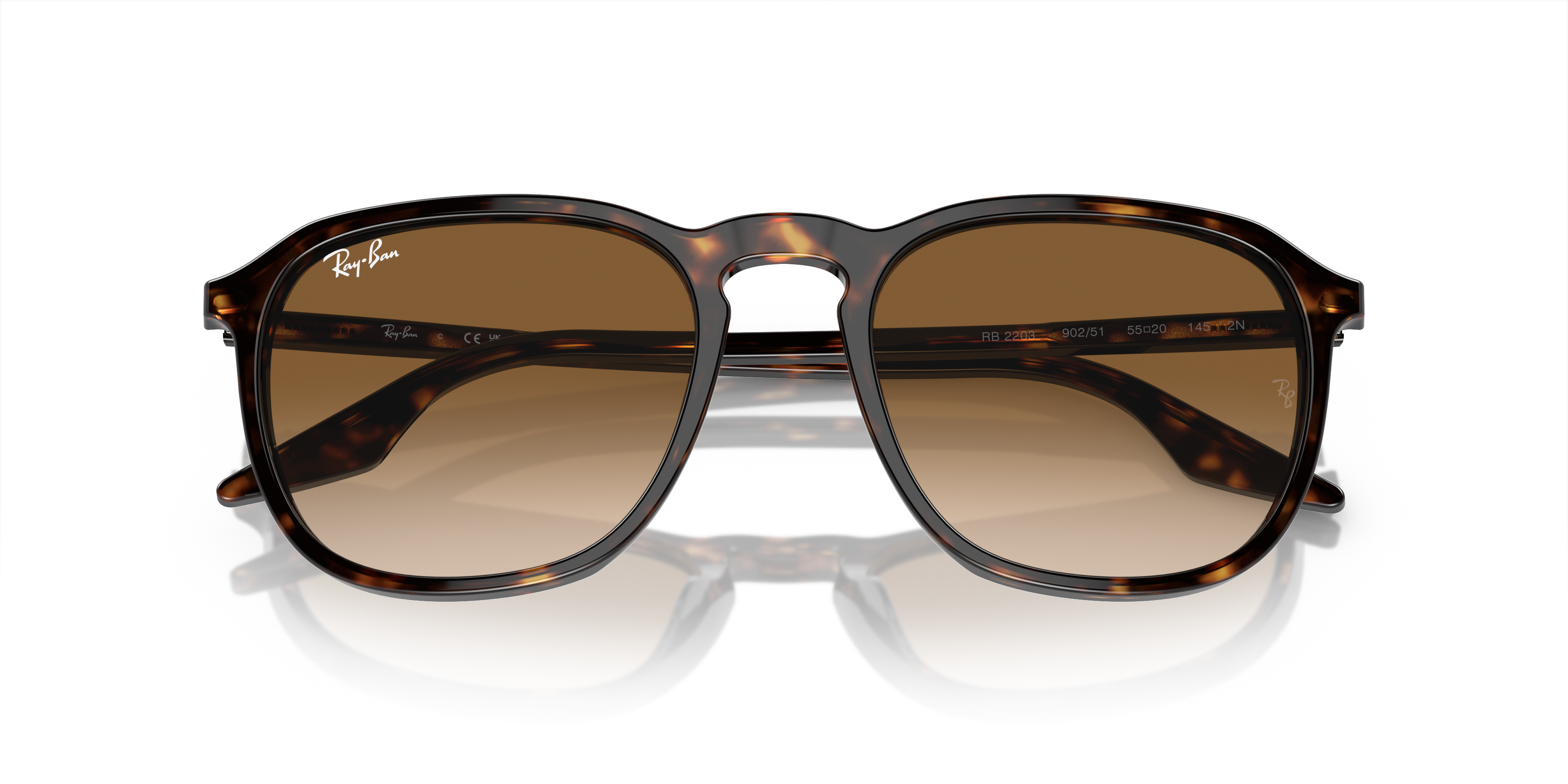 RAY-BAN RB2203 902/51 52