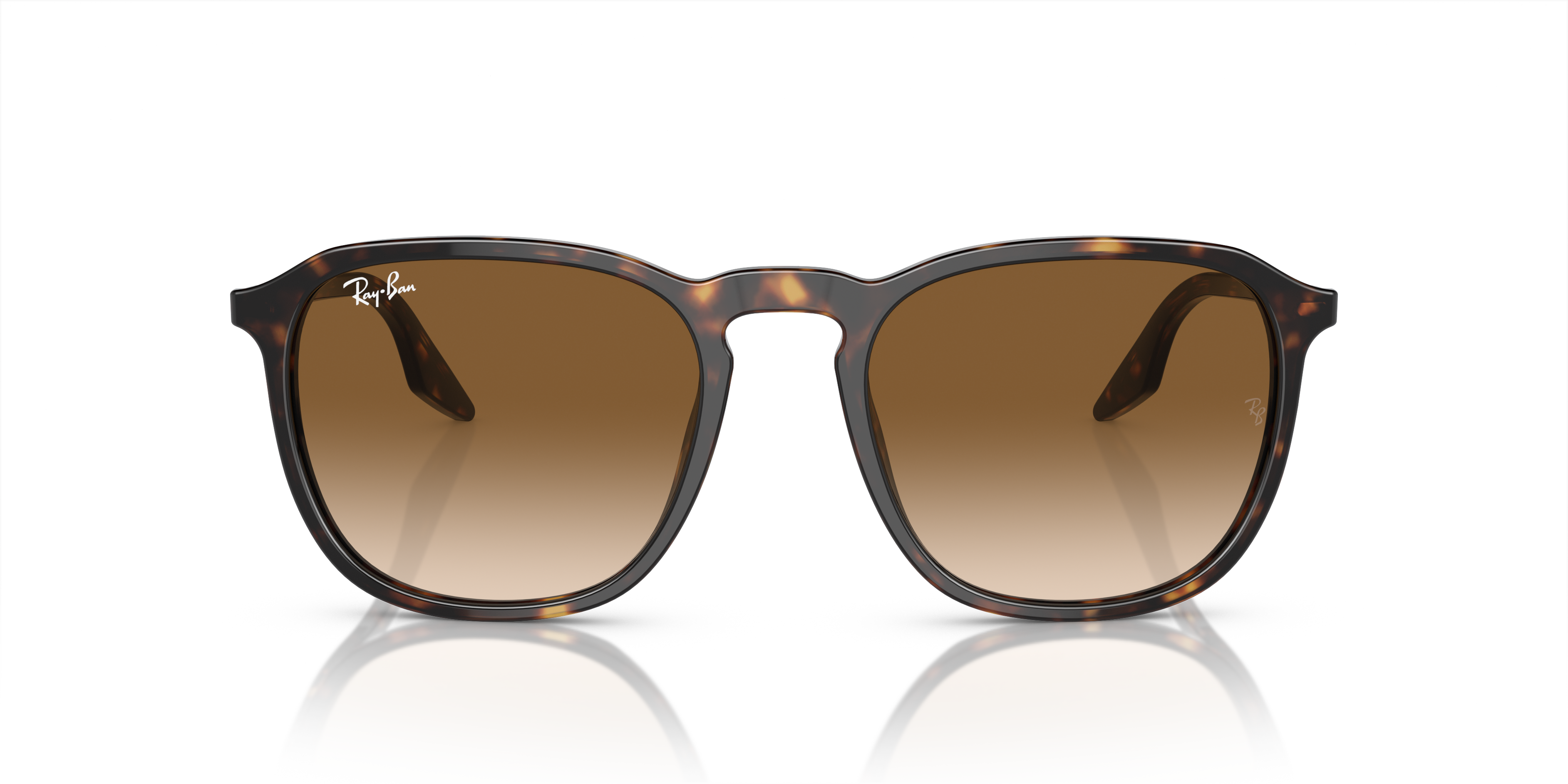 RAY-BAN RB2203 902/51 55