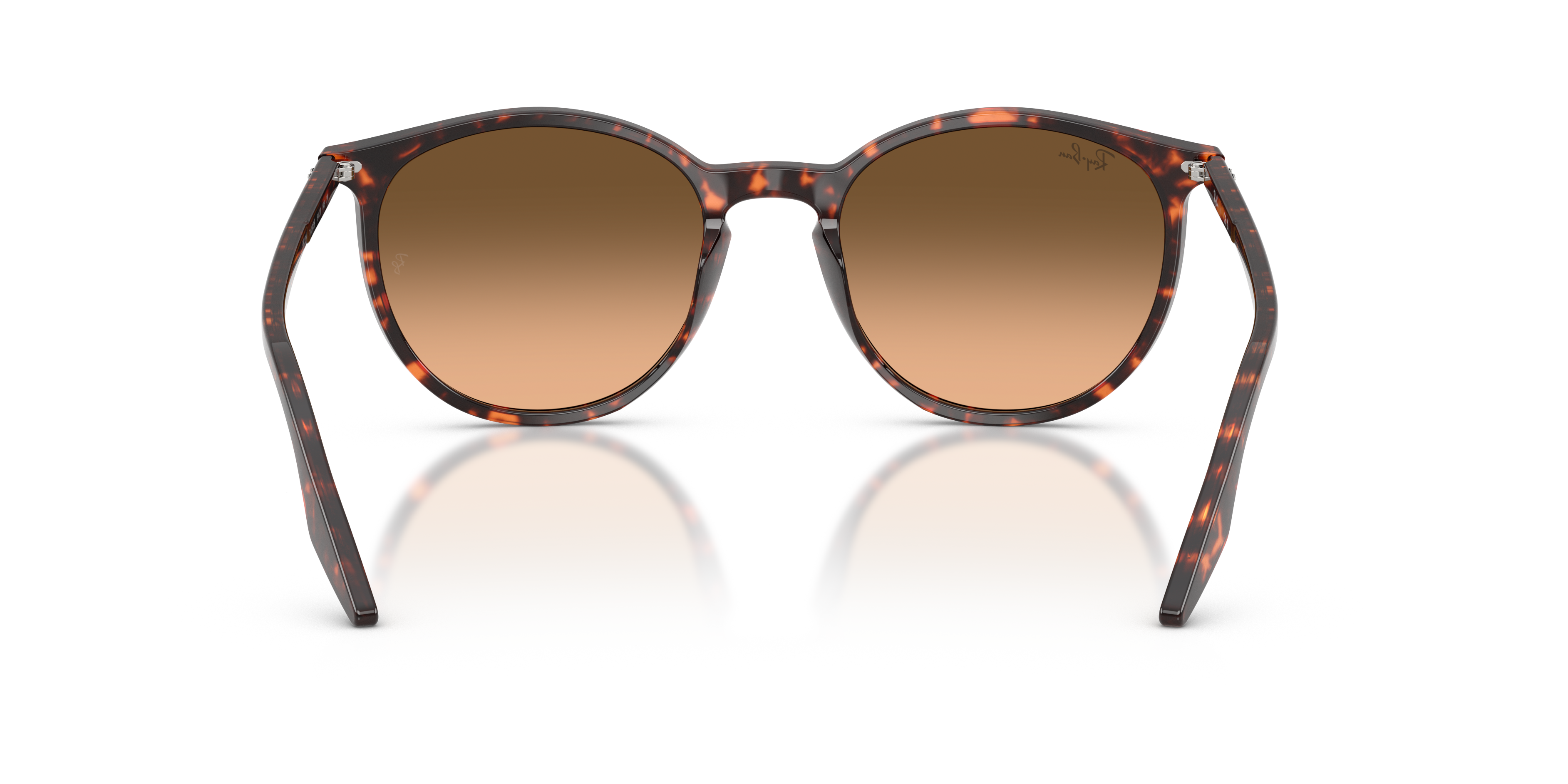 RAY-BAN RB2204 14293B 54