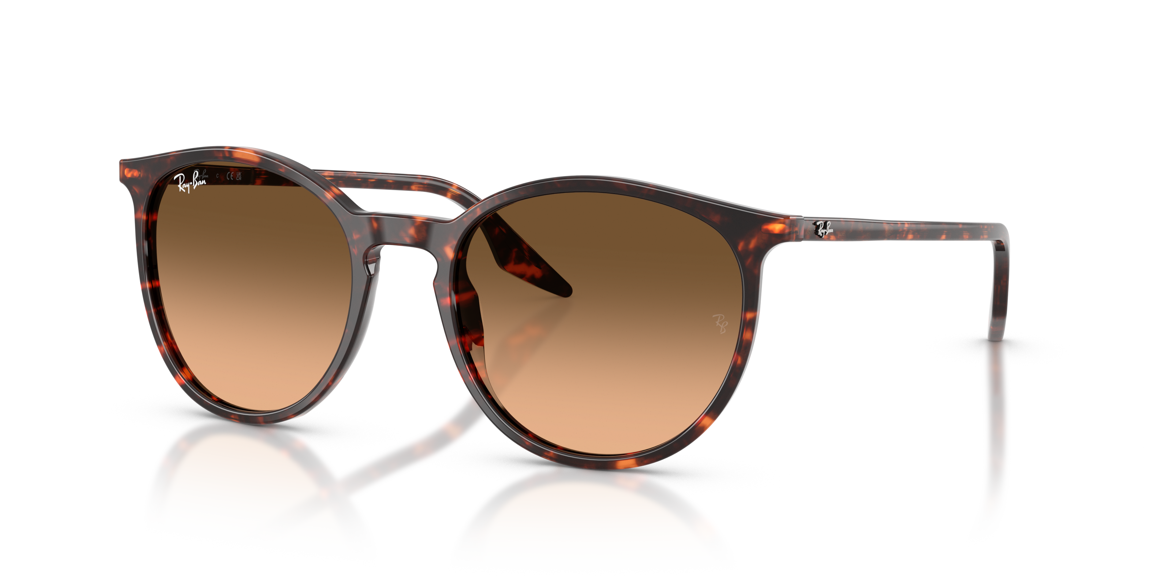 RAY-BAN RB2204 14293B 51