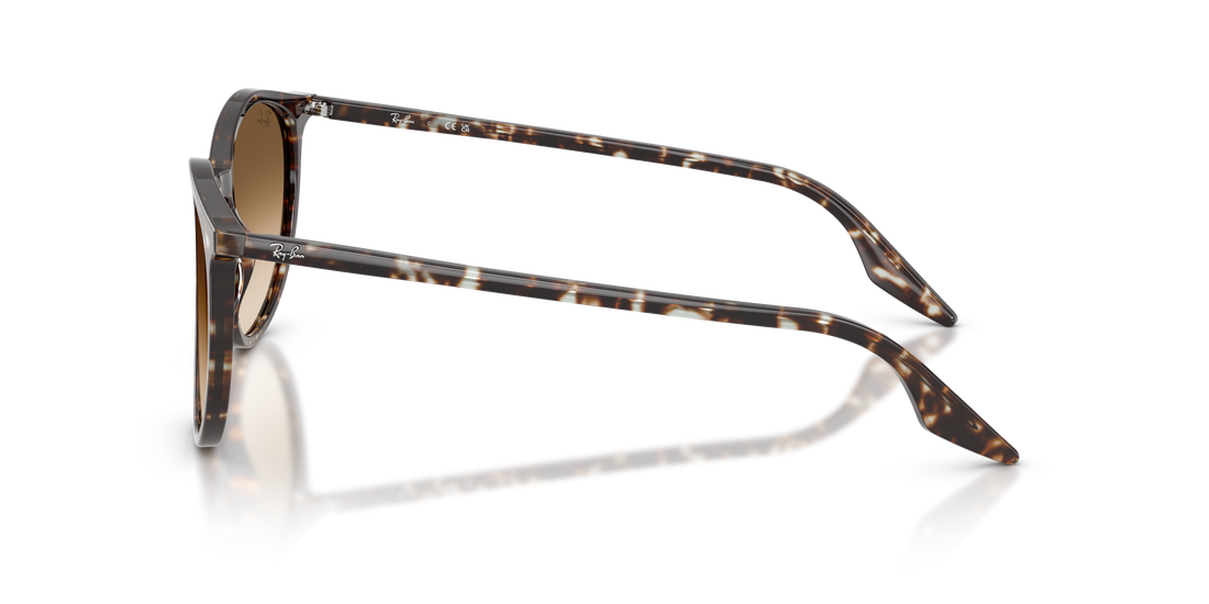 RAY-BAN RB2204 143151 51